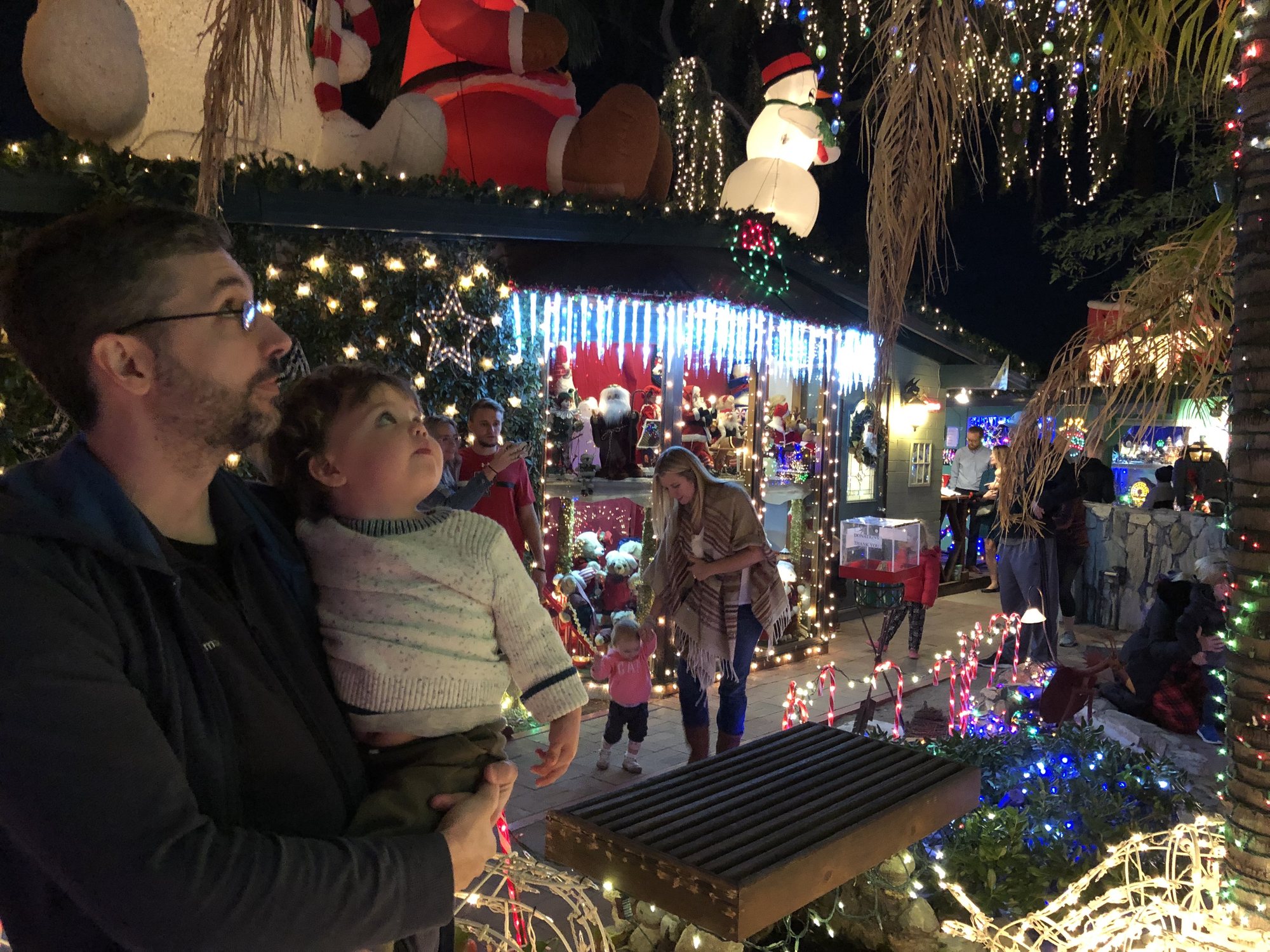 More crazy Christmas house.