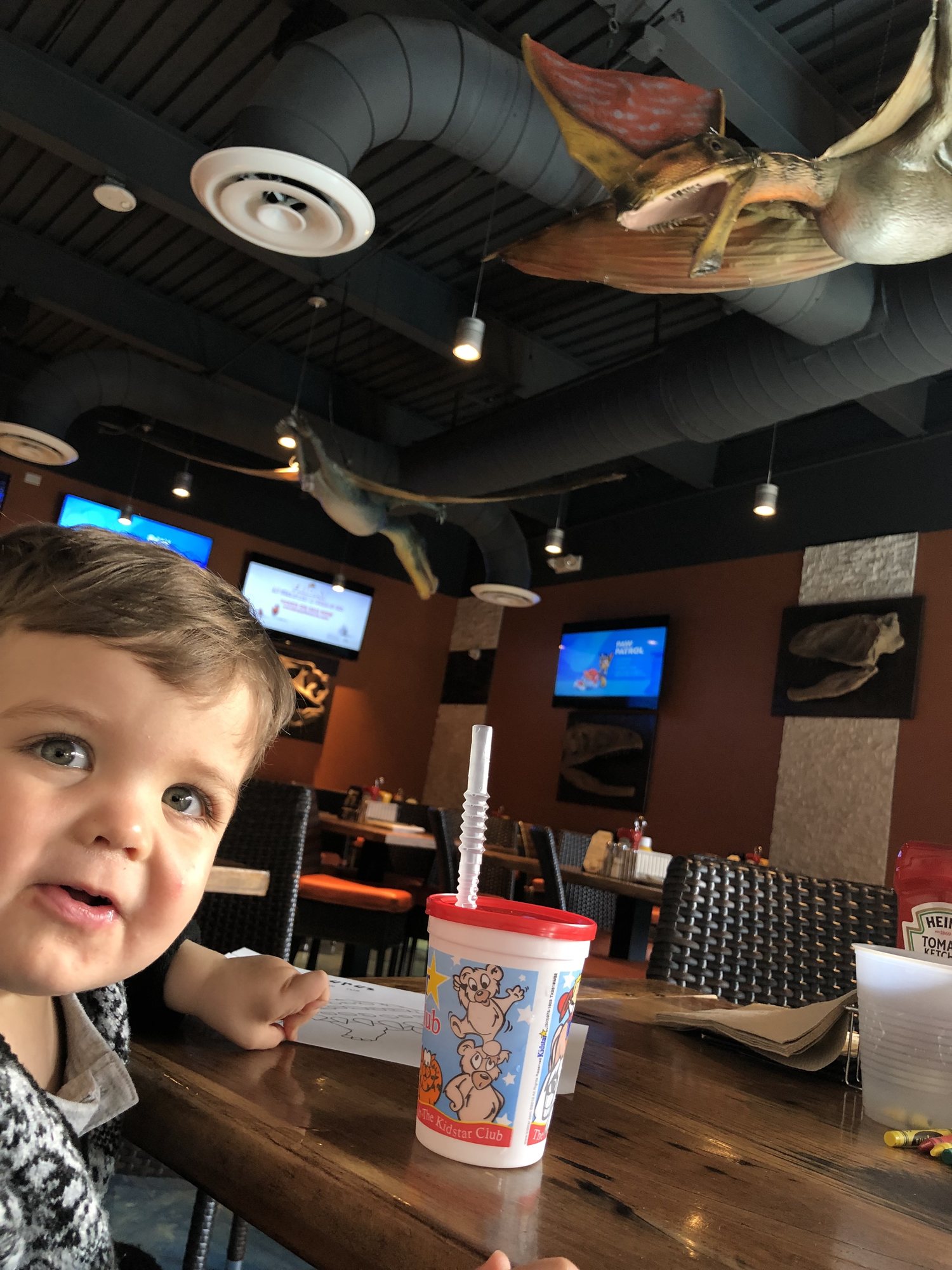 Lunch with momma at the Pangaea Cafe in Scottsdale. He LOVED all the dinosaurs (especially the pterodactyl that looks like it's about to eat him).