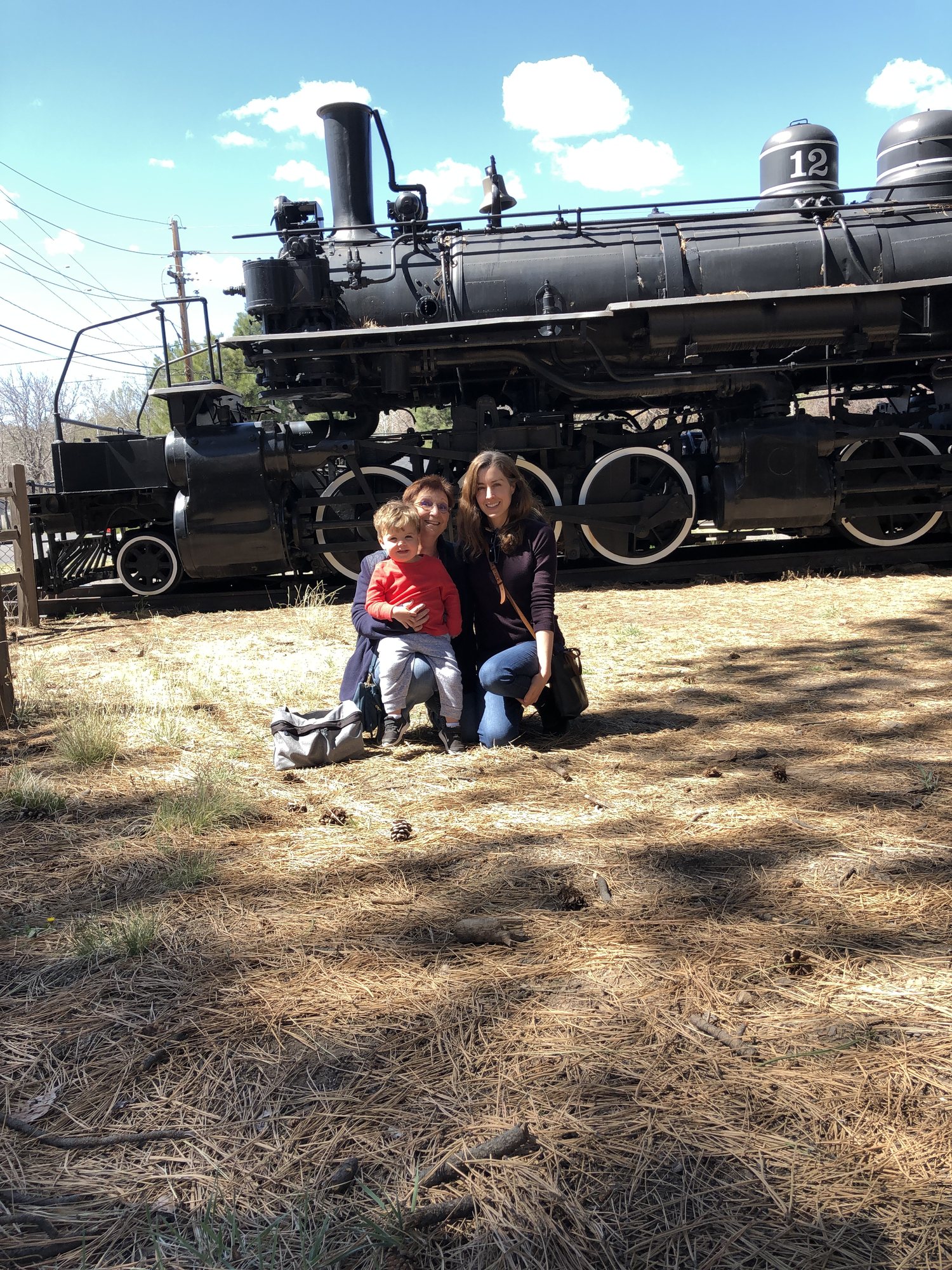 Train engine at the Pioneer Museum.