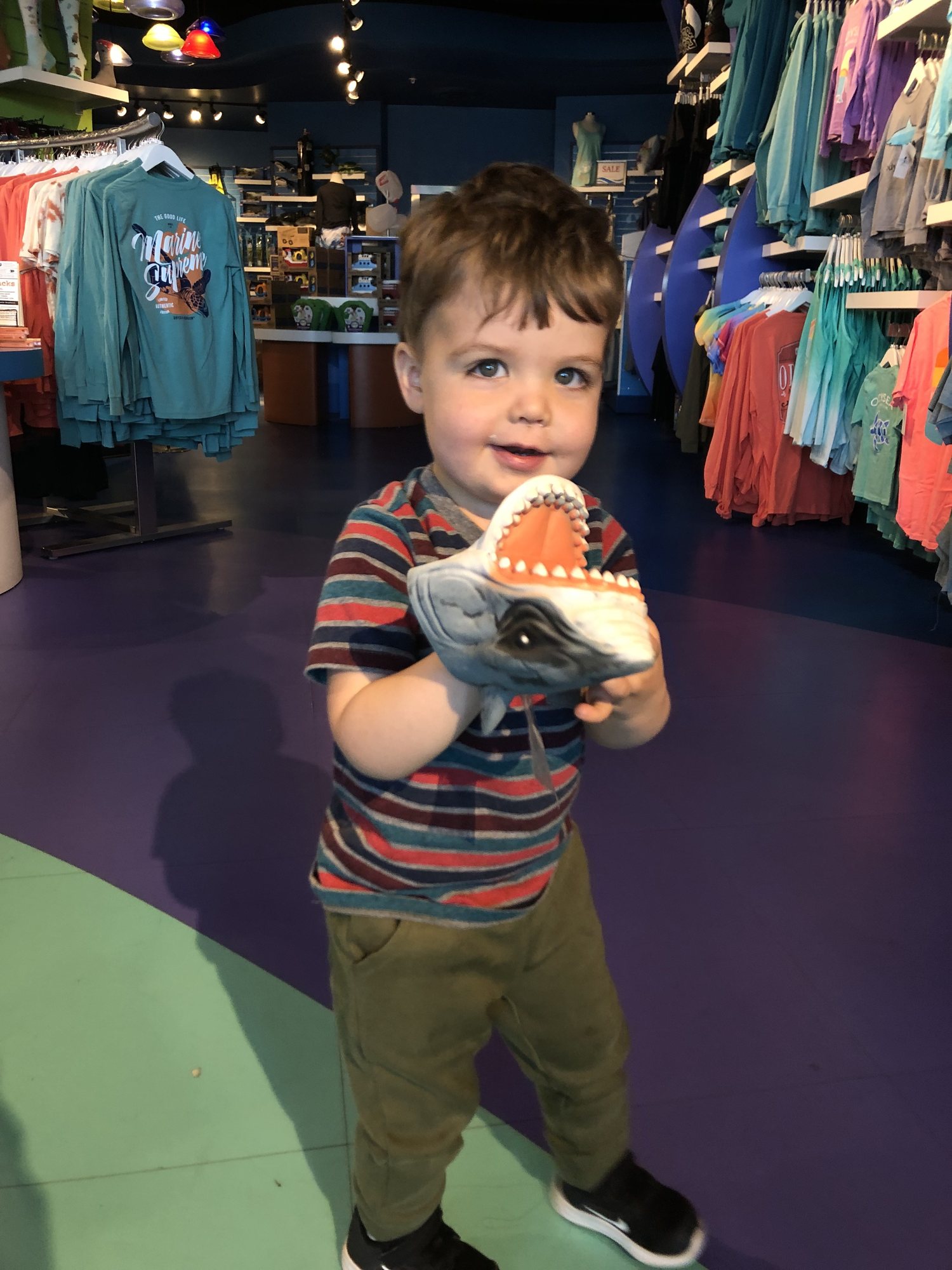 Dun-uh, dun-uh! Playing with a shark at the aquarium.