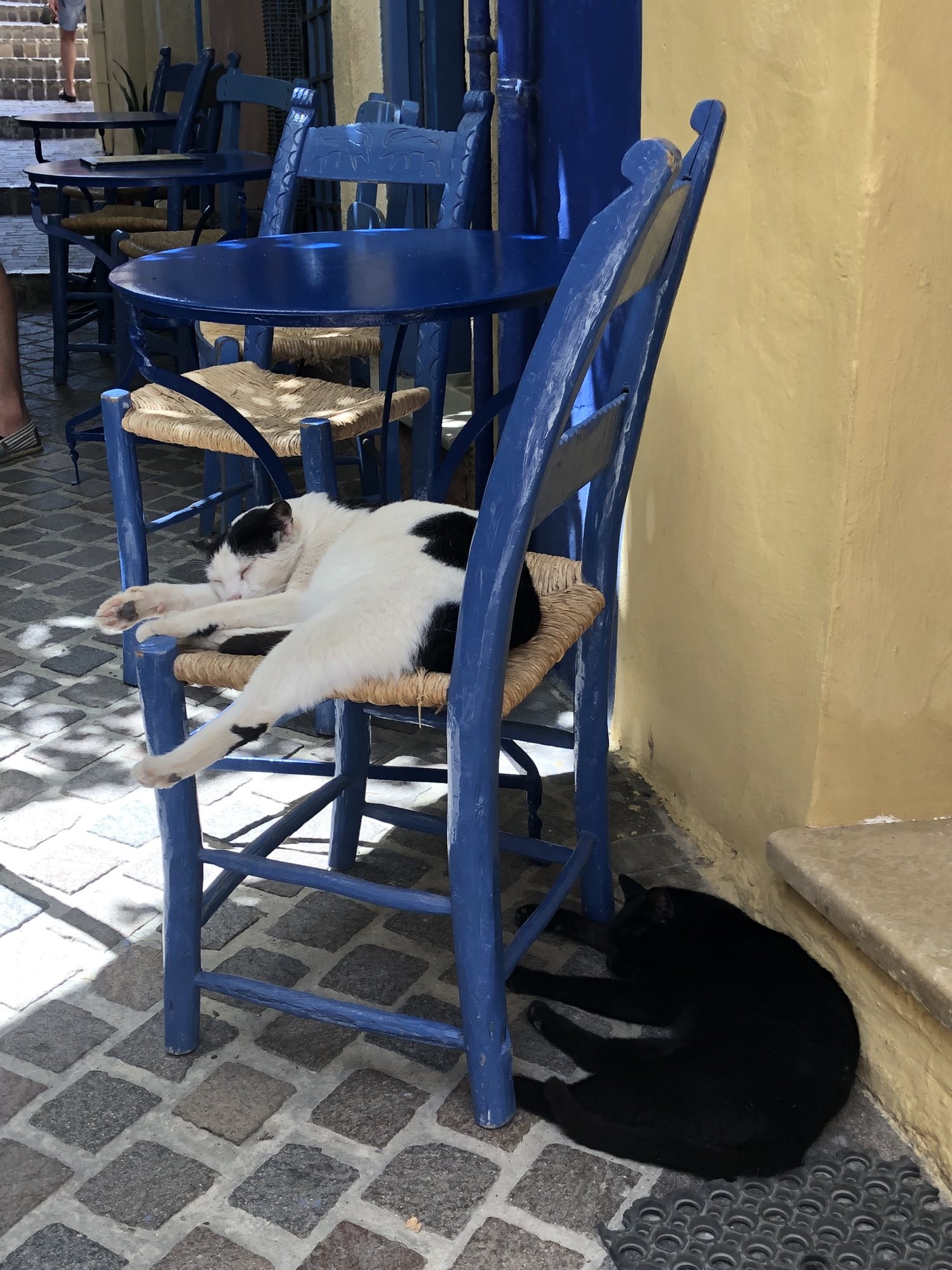 Kitties taking a snooze in Chania.