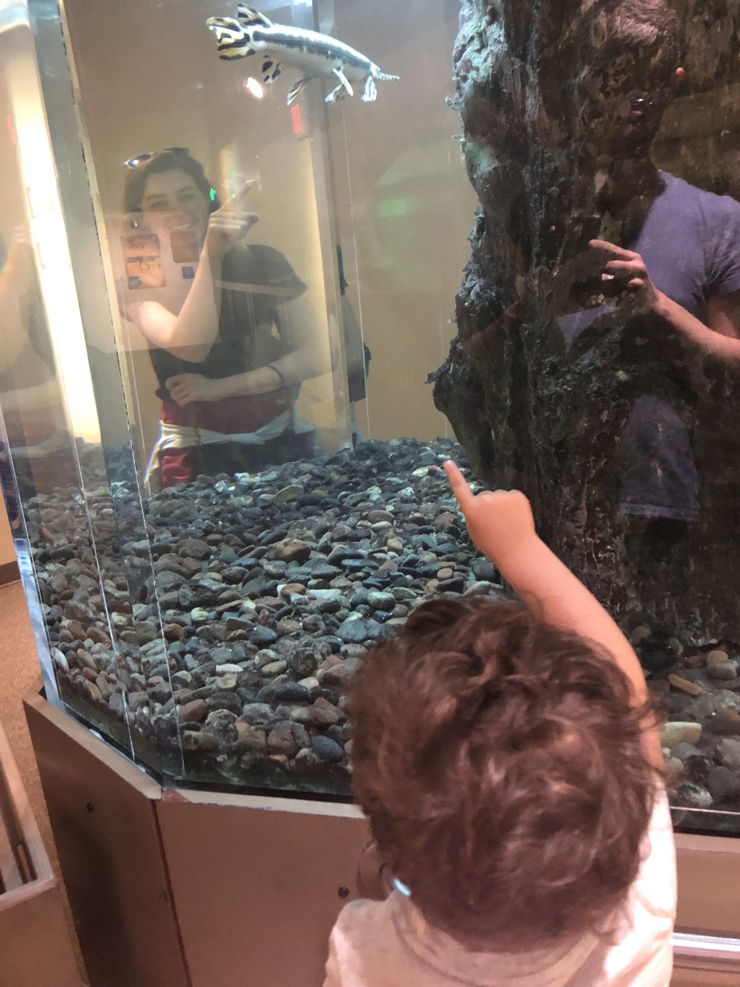 Look! A fish!!!