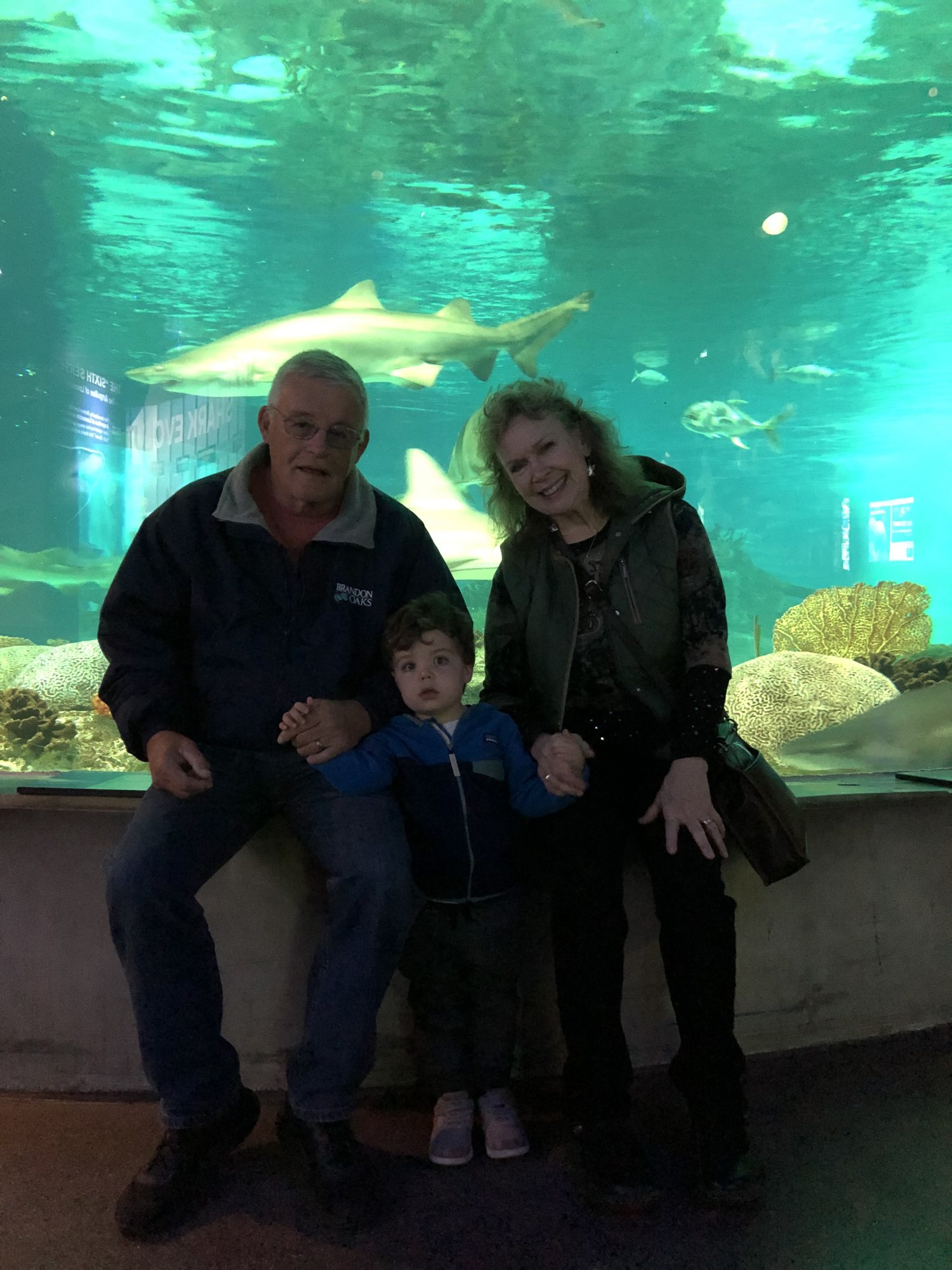Shark photobombing Pawpaw, Gma Helen and Ben buns at the aquarium :)