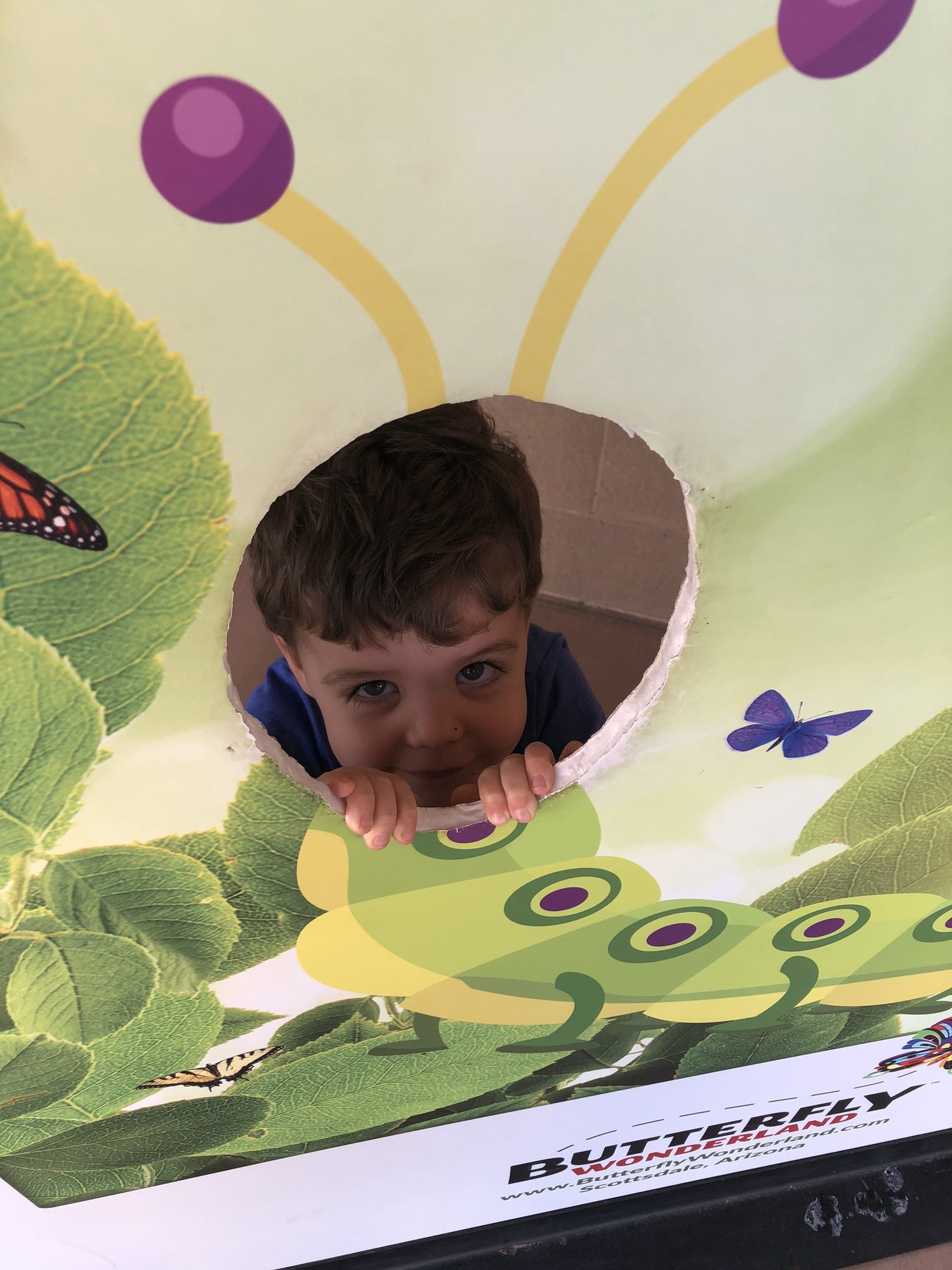 Lil' bug.