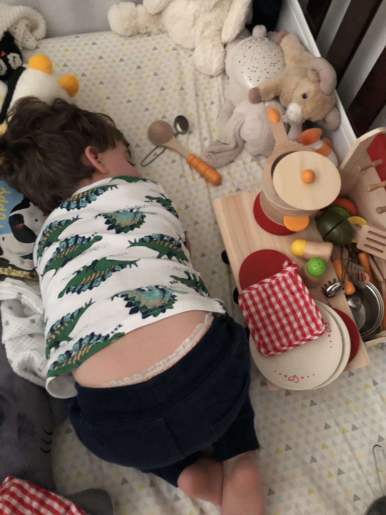 Fell asleep while cooking. He's since decided that he doesn't want anything in his bed anymore :)