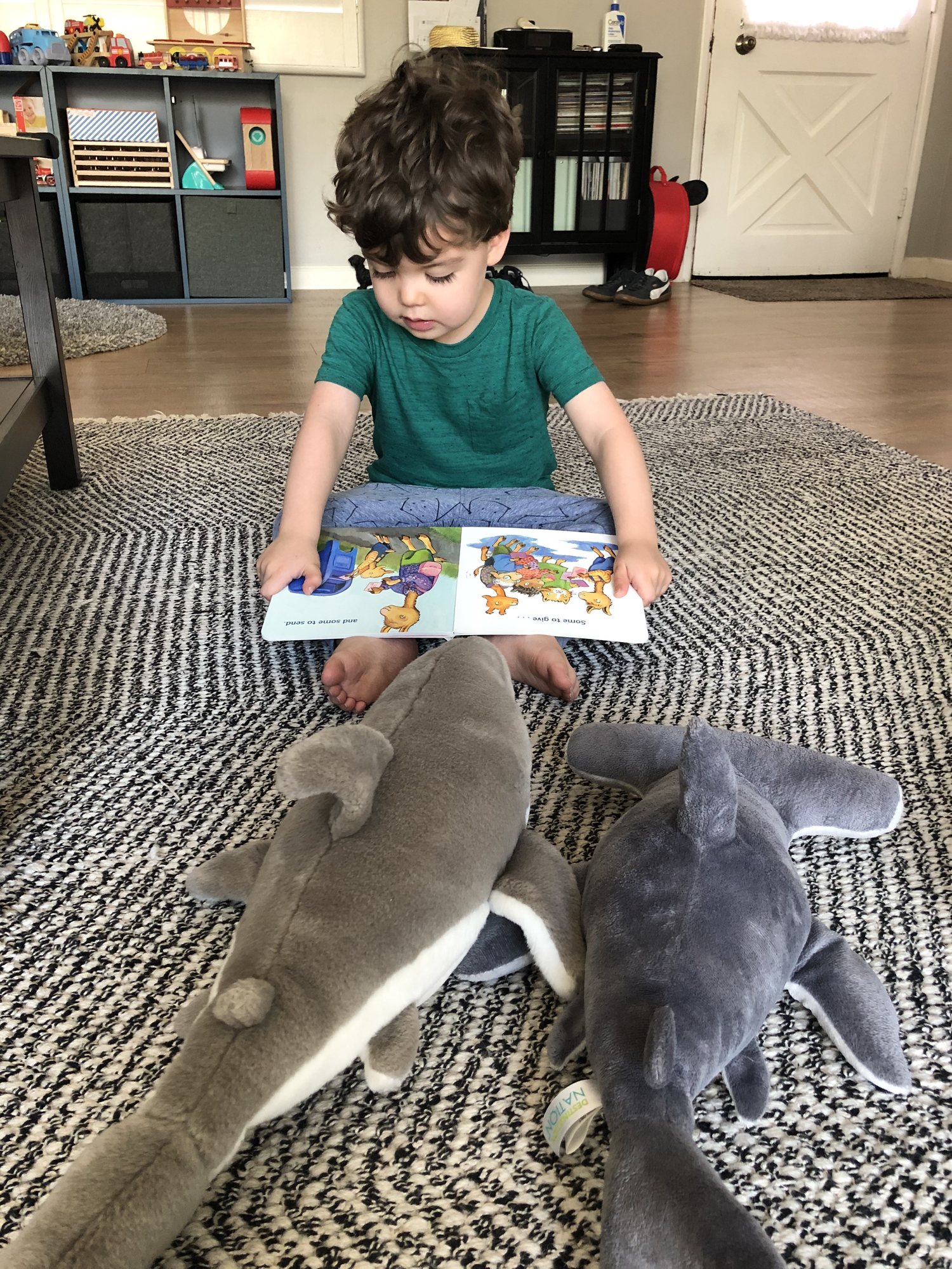Reading to his sharks, Hammy and Great White.