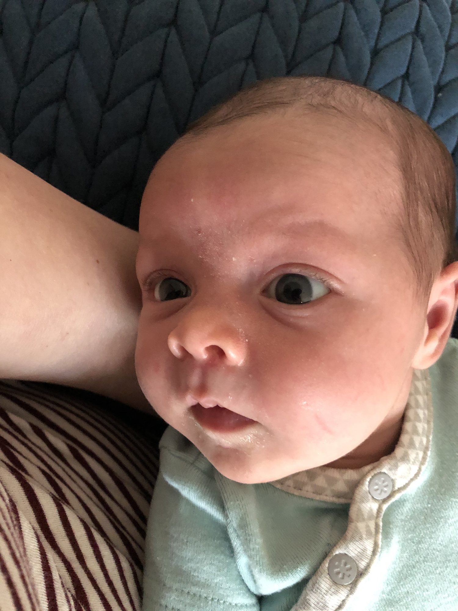 OH HELLOOOO!