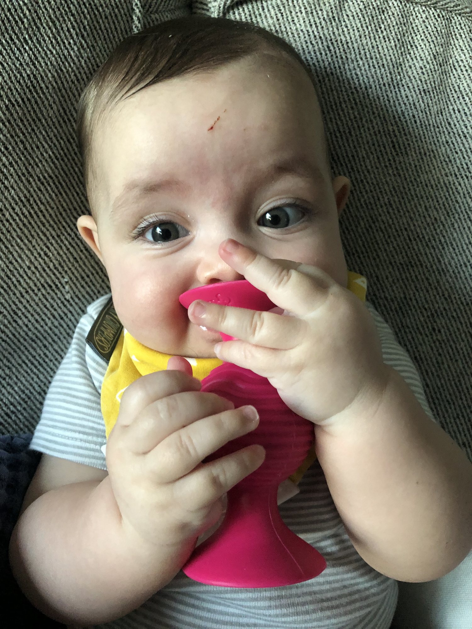Yep, definitely teething!