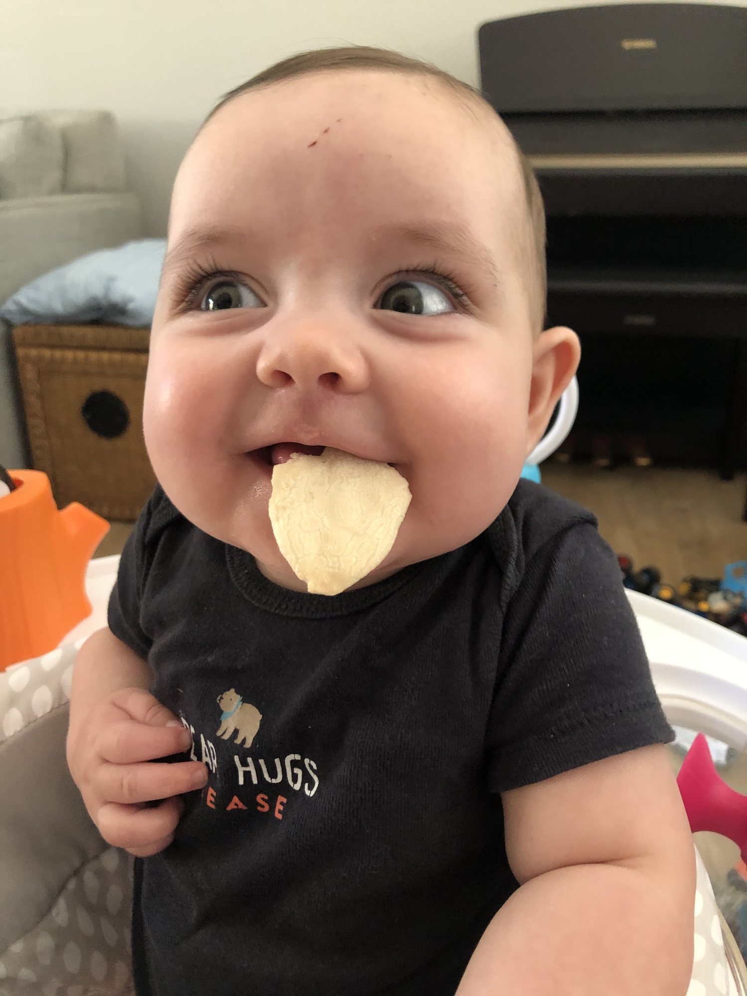 First time trying to eat a cracker. She gave it her best. LOL