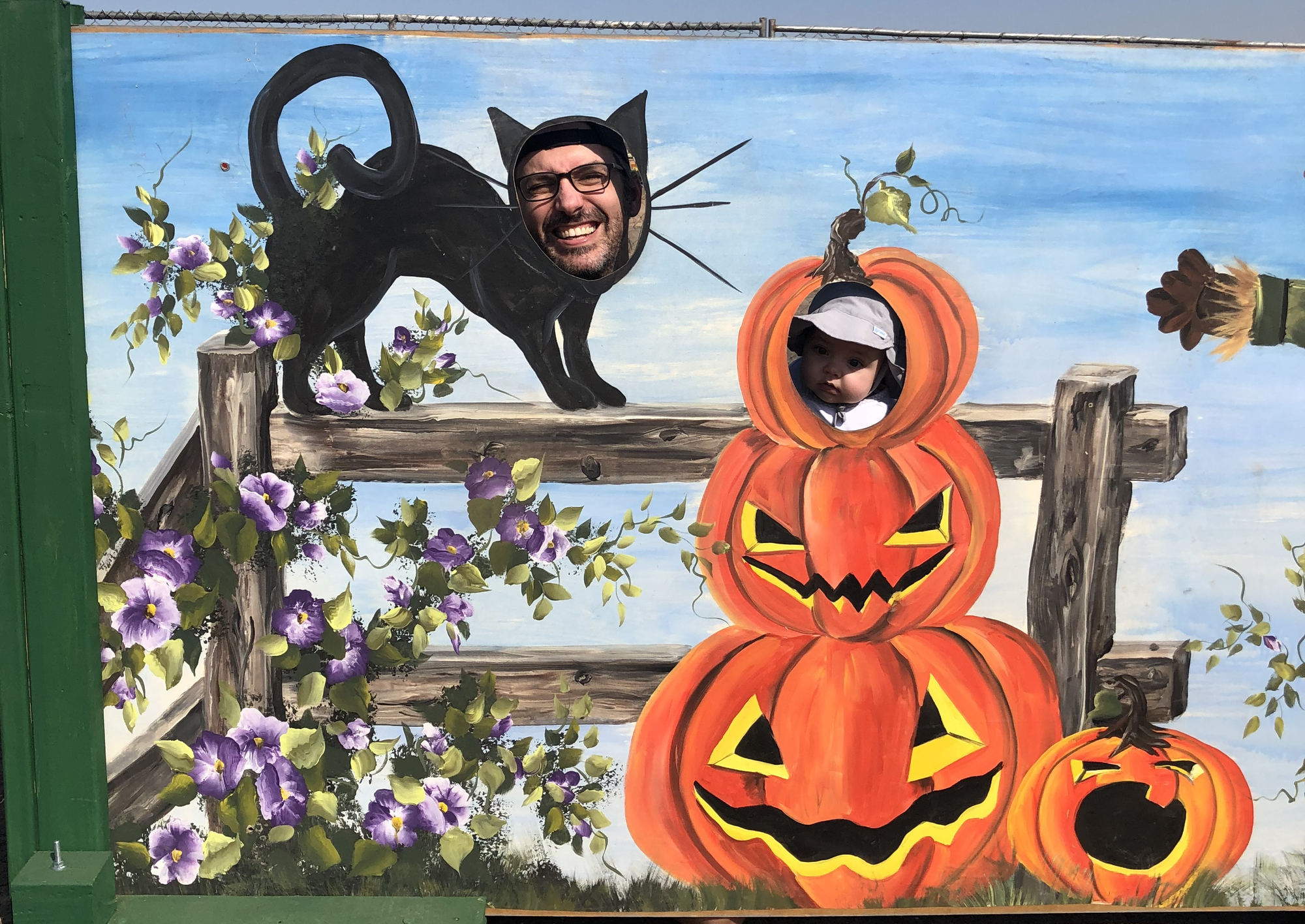 Pumpkin patch