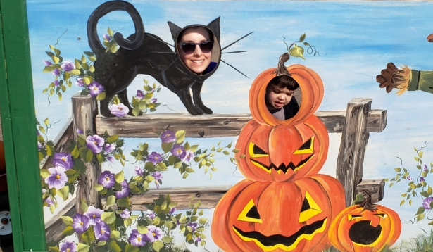 Pumpkin patch