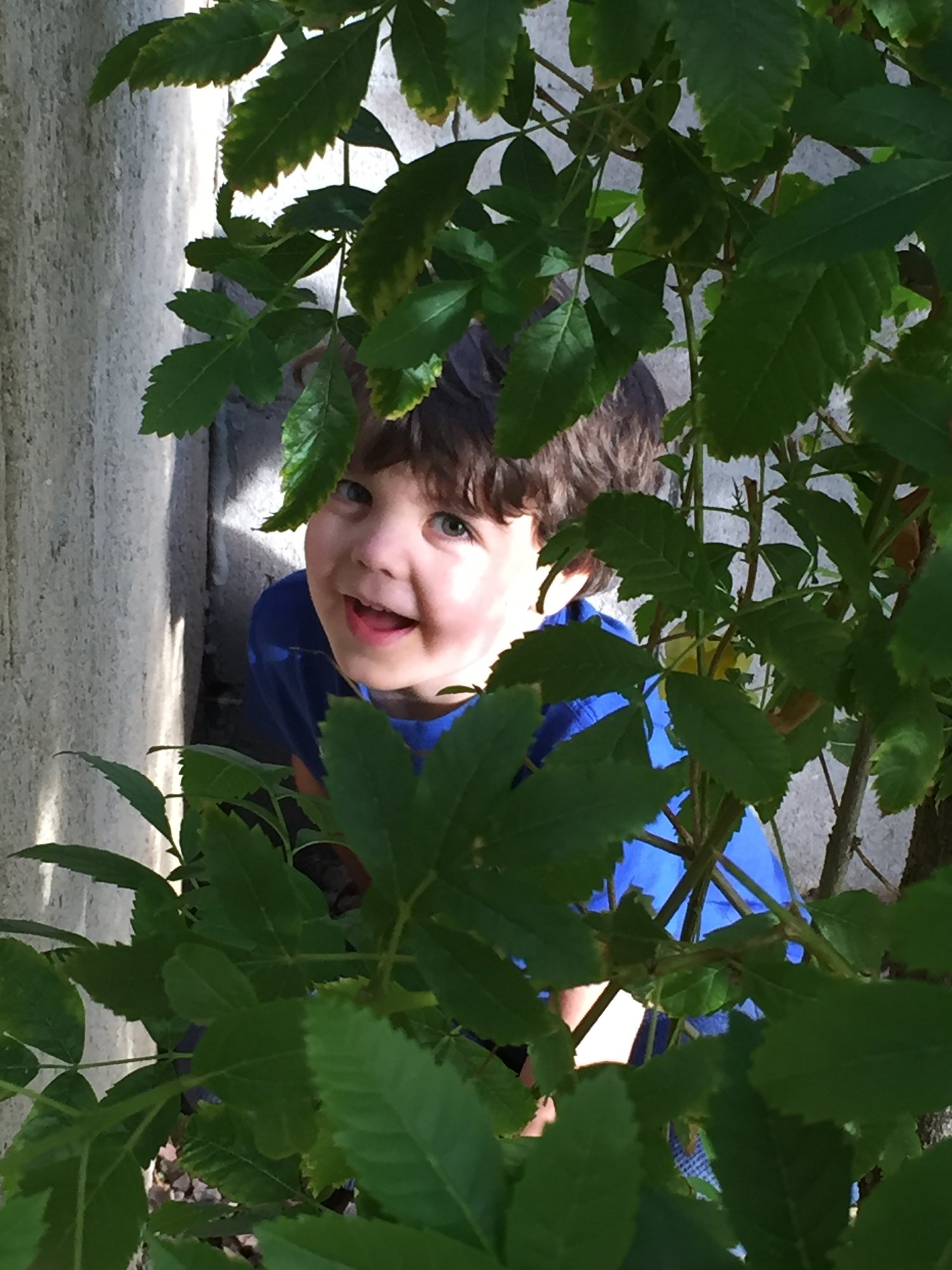 Playing in the backyard and being very photogenic :)