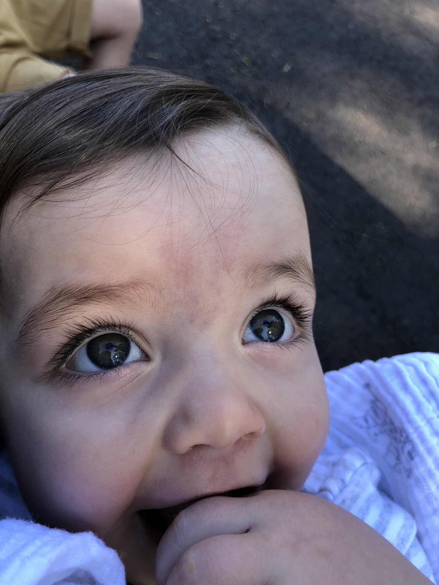 Those eyes!!! Awwwwwww.