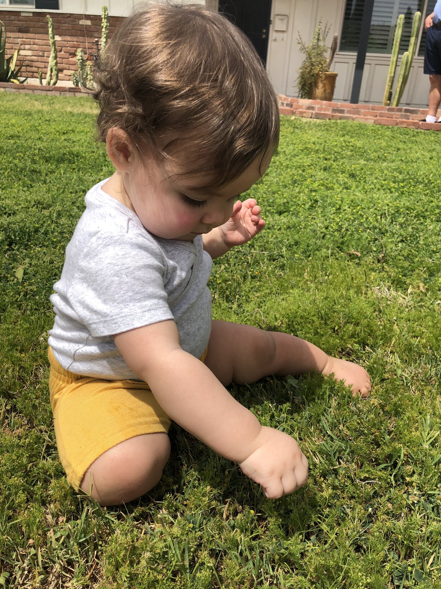 Nori-bean enjoying grass.
