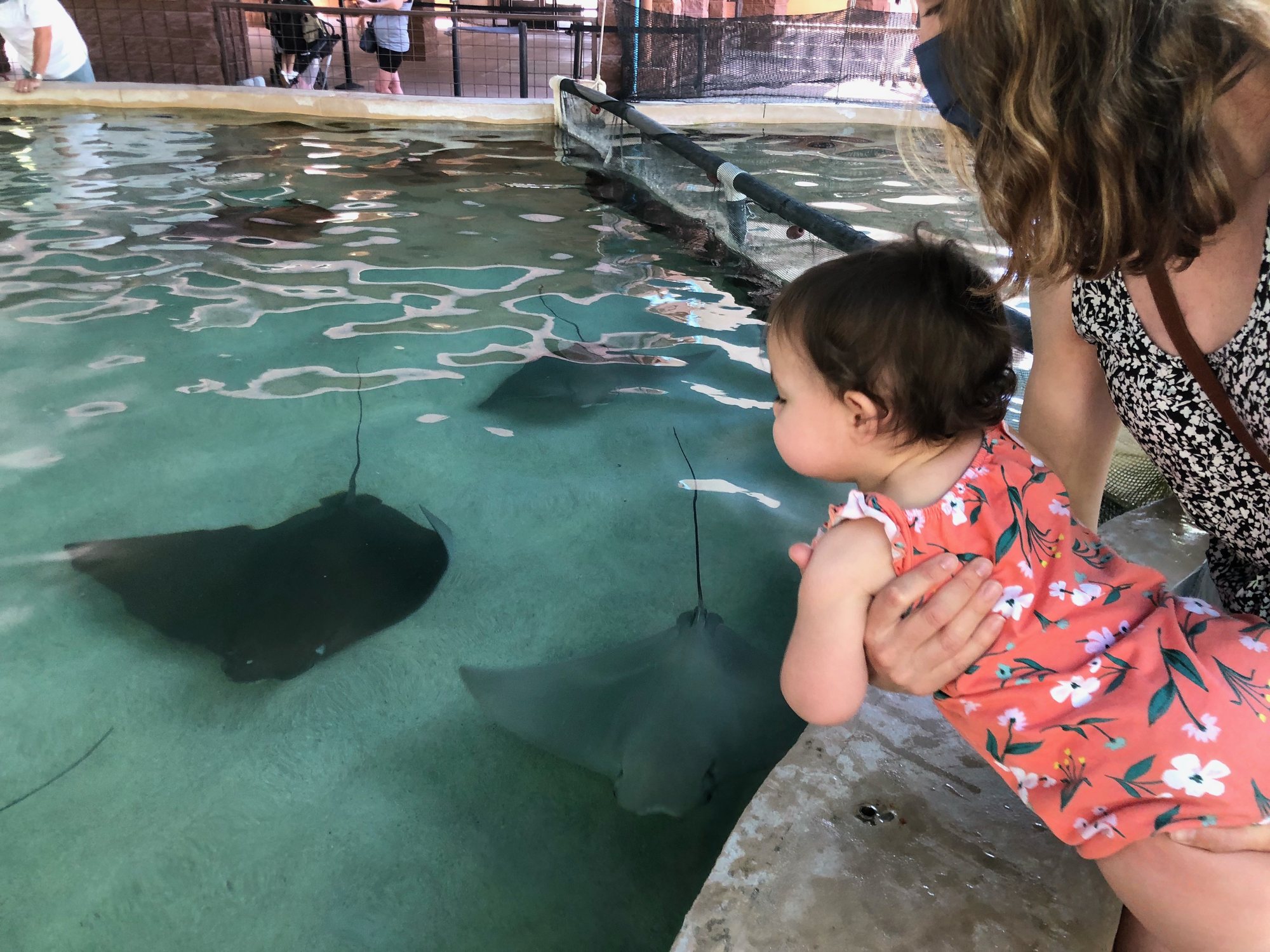 More zoo time!