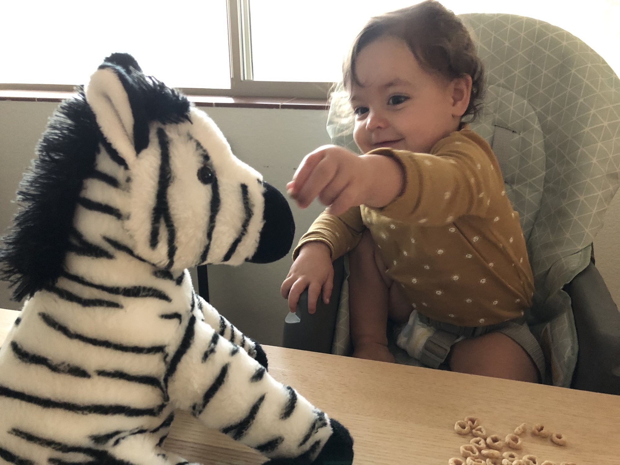 Feeding cheerios to Zebradon