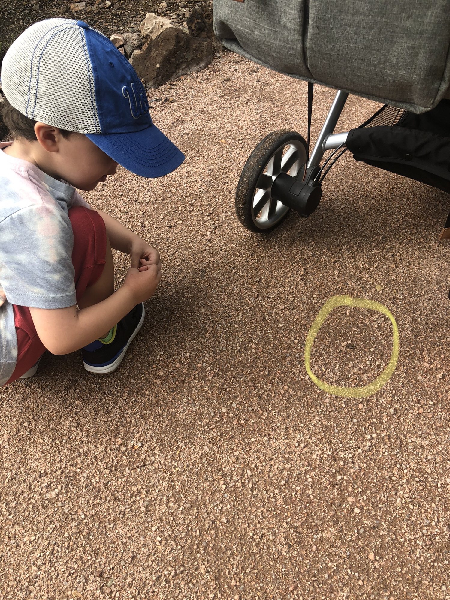 Ben finds the teeniest frog ever (circled).