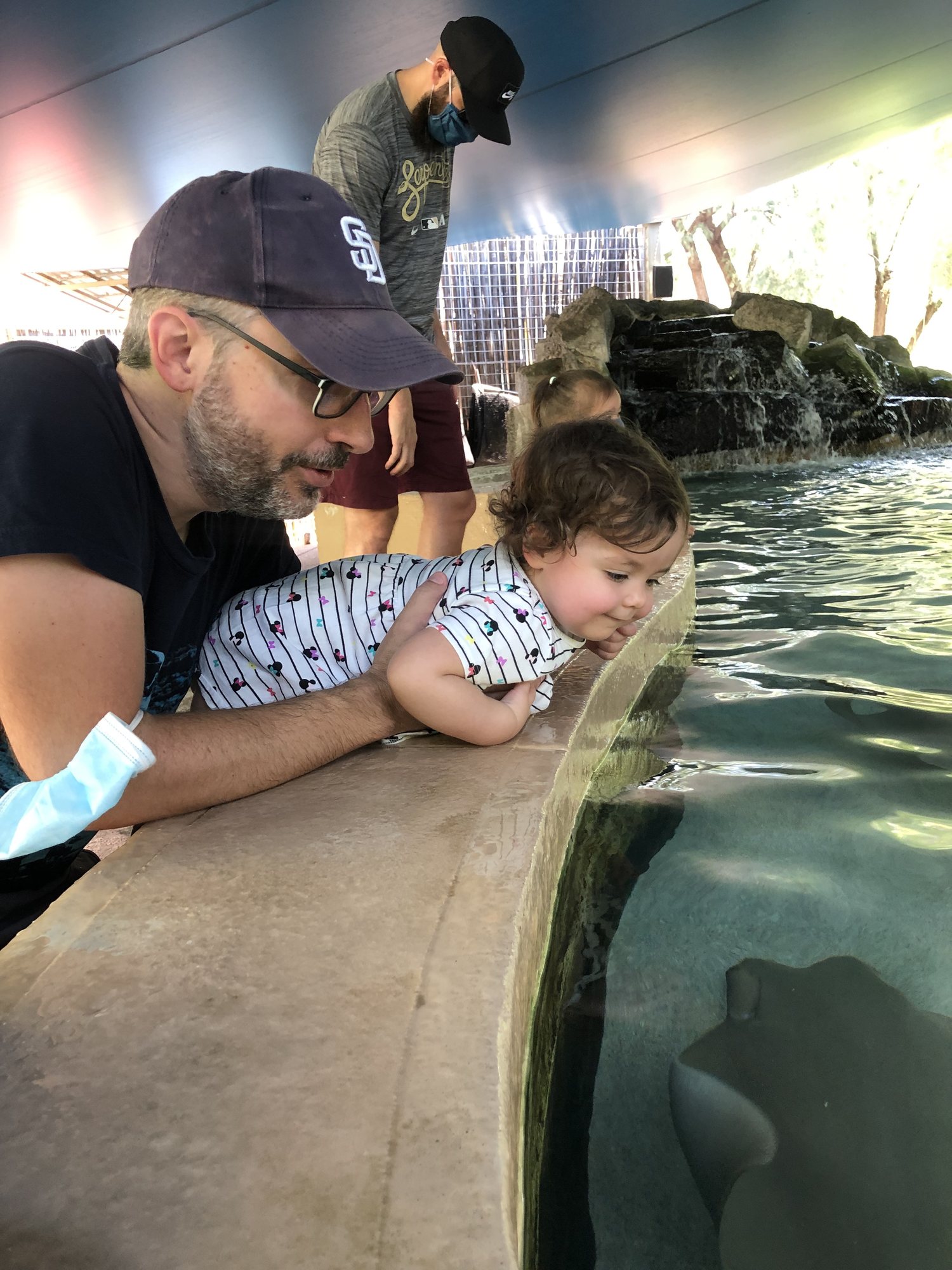 Checking out those stingrays.
