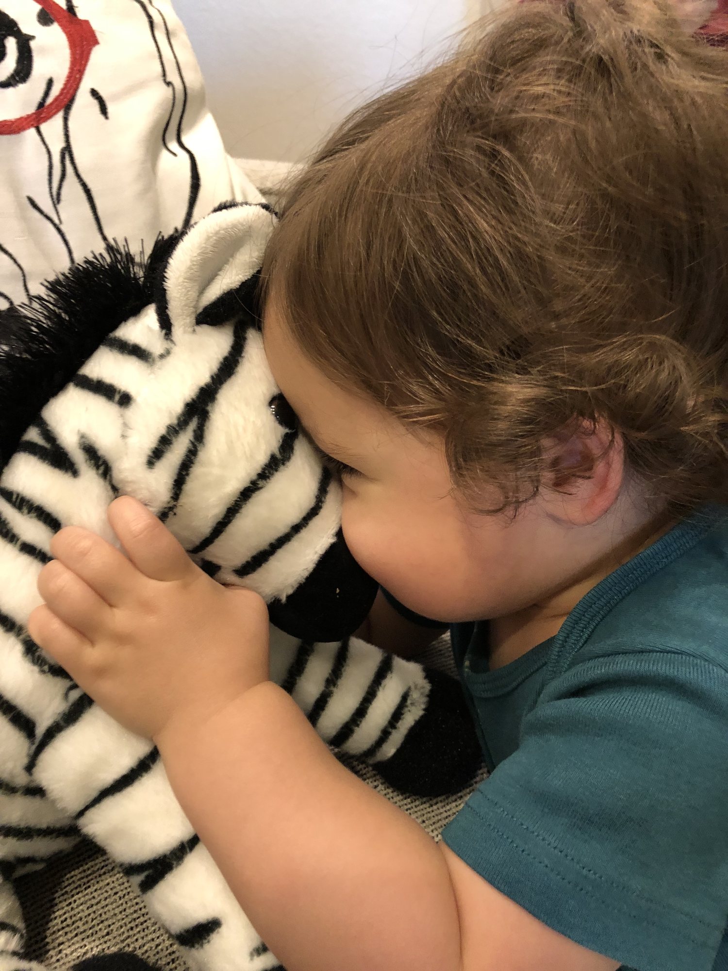 Zebradon kisses.