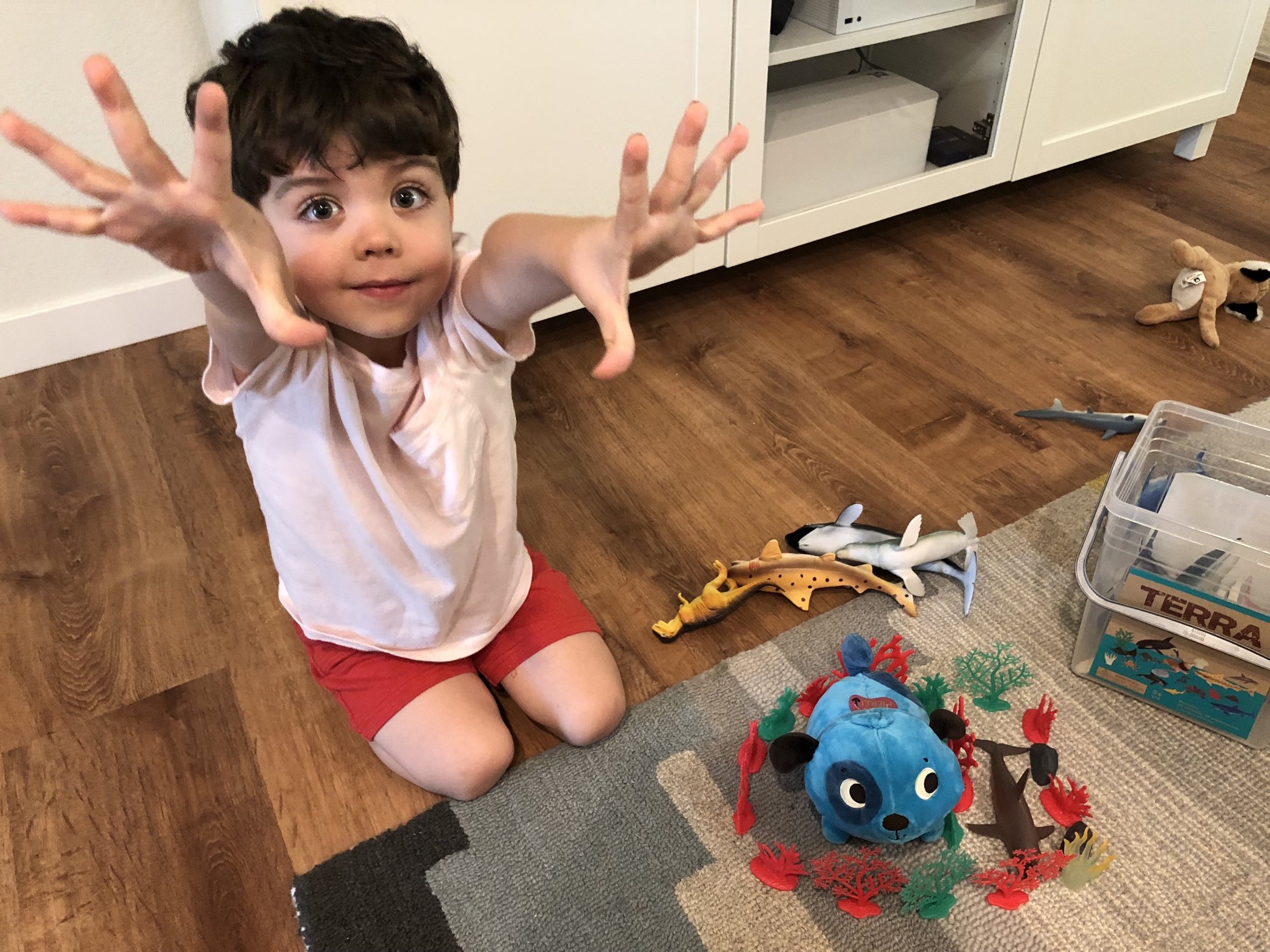 I think he build a reef habitat for Nora's puppy and his dolphin? Whatever it is, he's proud of it :)