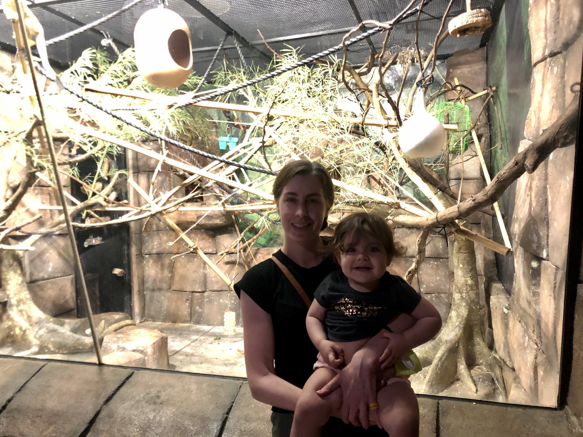 Monkey exhibit at the Reid Park Zoo. Nora had the BEST giggles for a little monkey that came right up to the glass :)