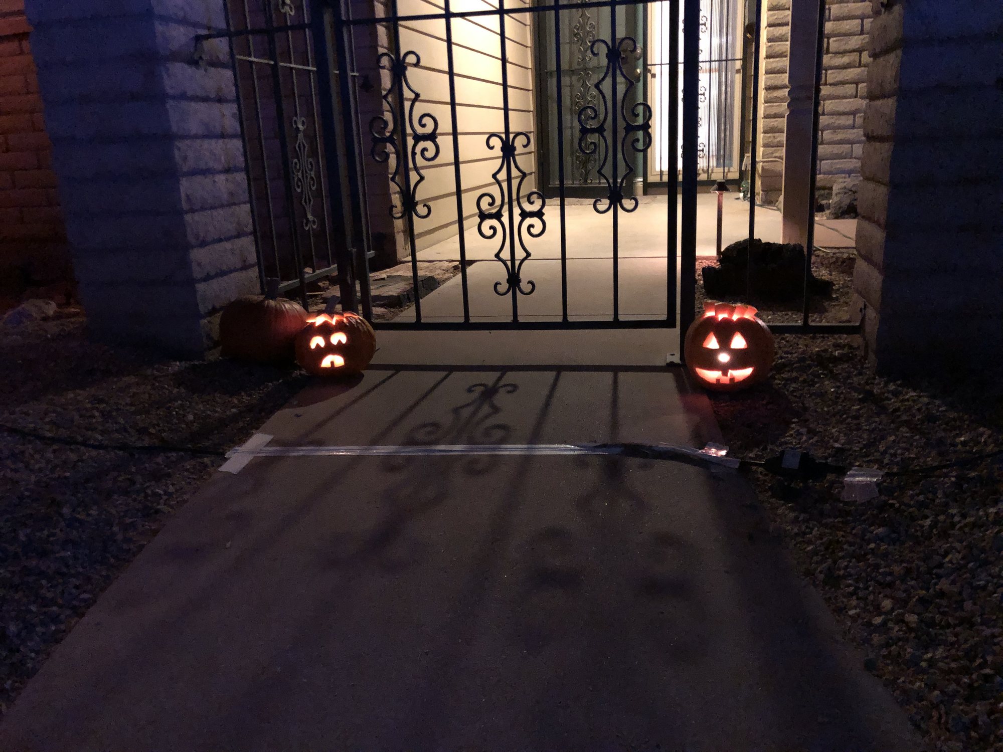 We forgot to take a picture of the kids with their pumpkins! Whoops!
