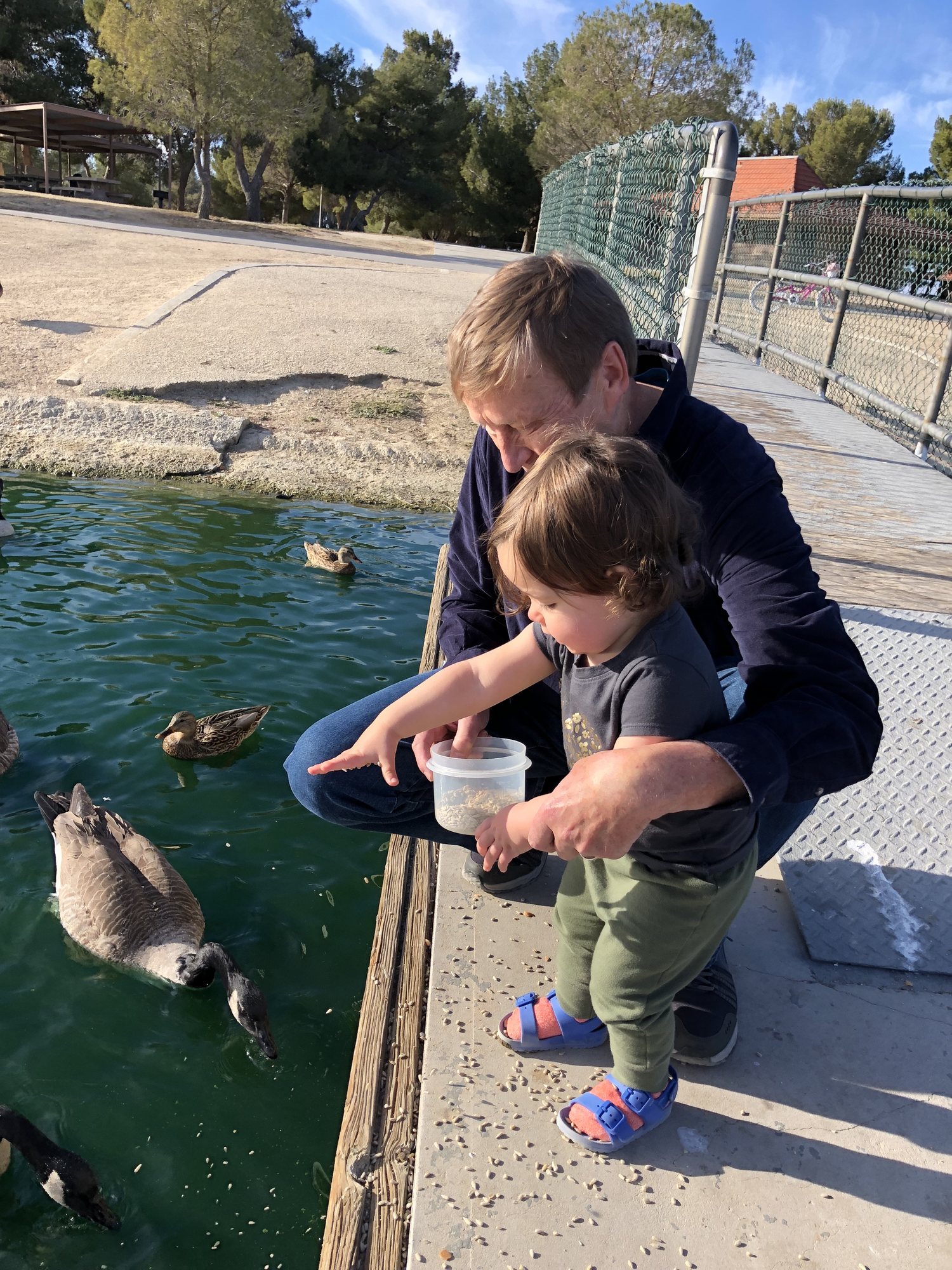 Feeding the birds at Apollo Park. Nora has good aim and was able to hit them right on theirs heads with seeds.