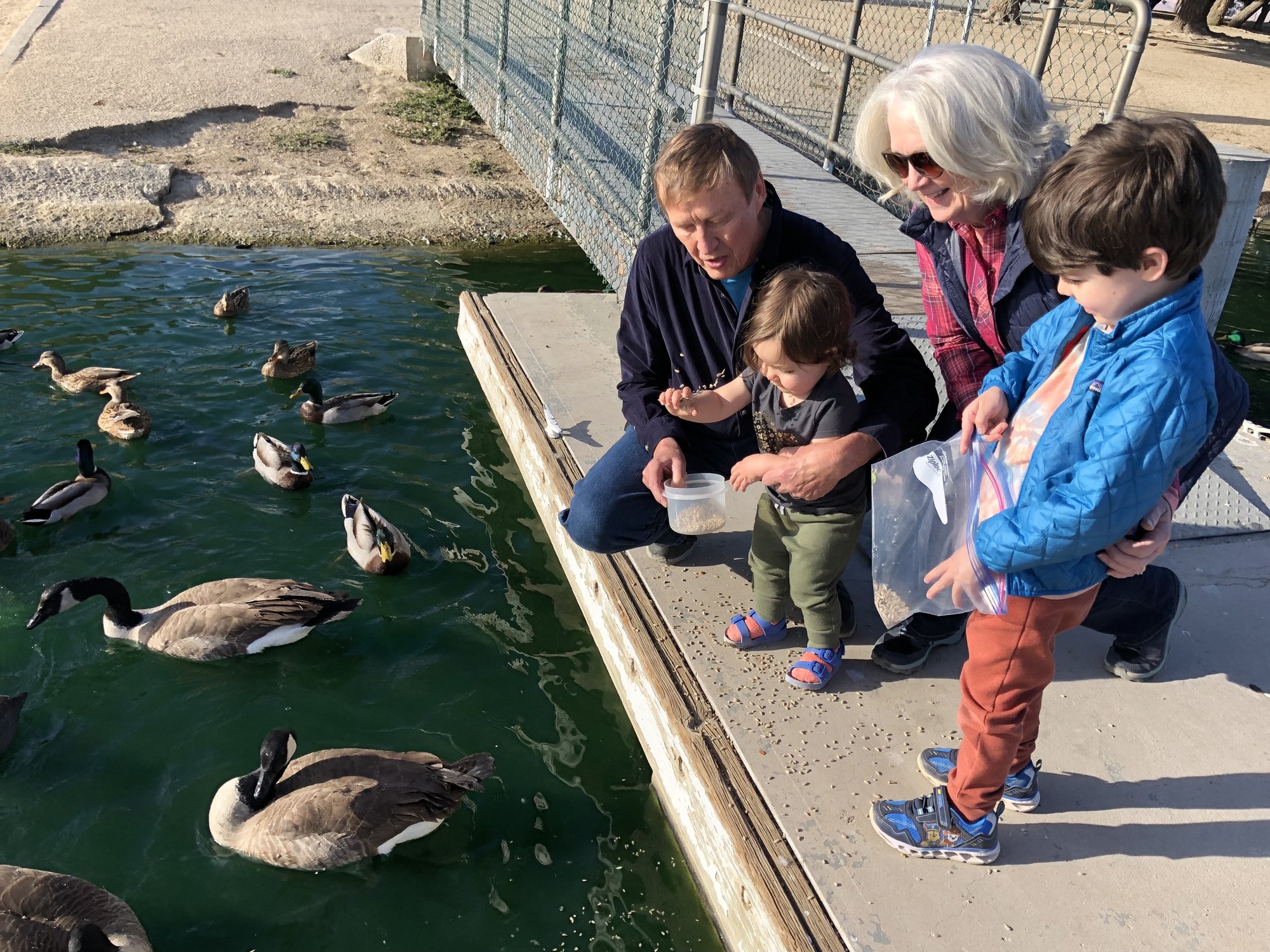 Feeding birds at Apollo Park.