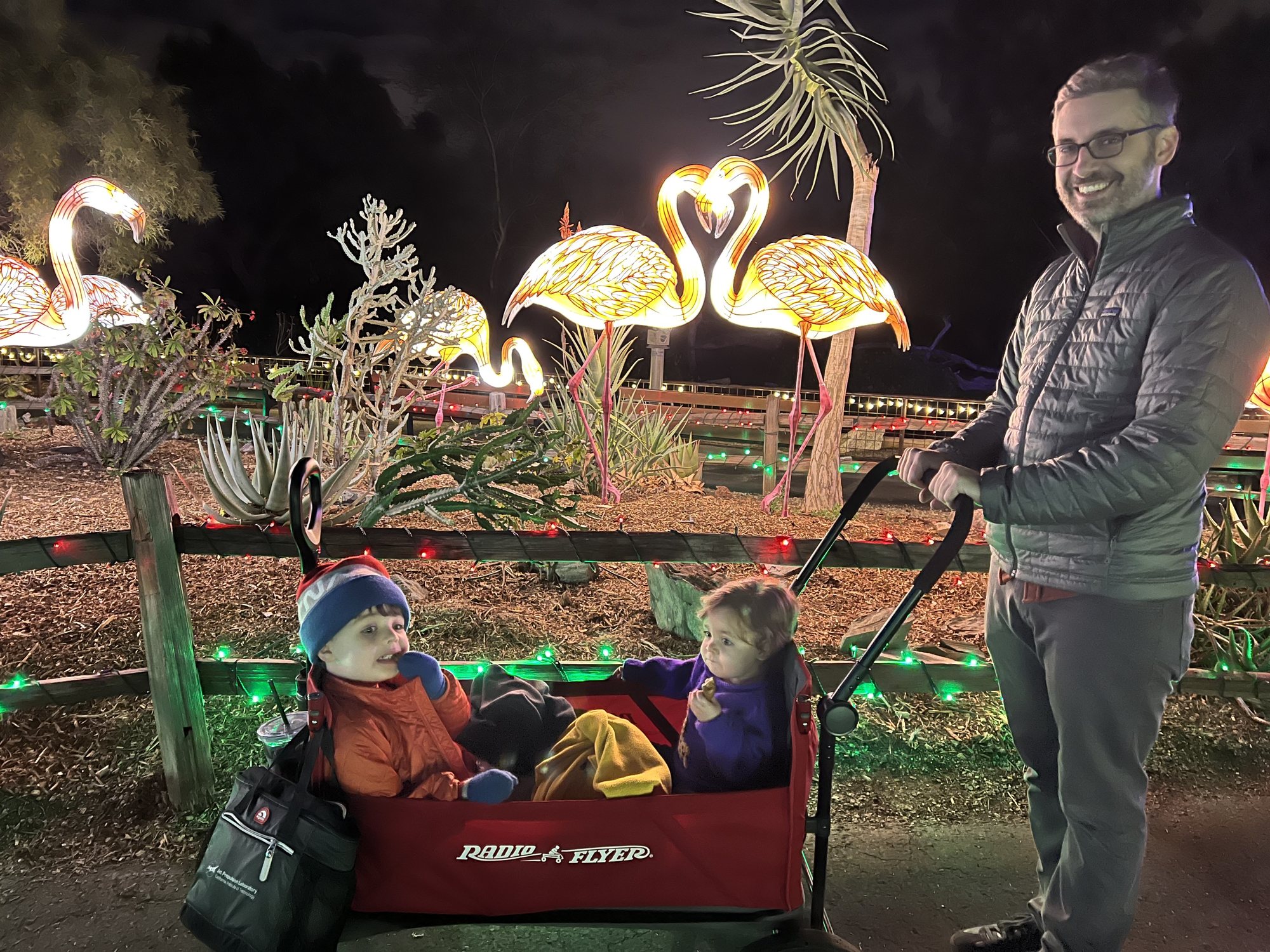 ZooLights!