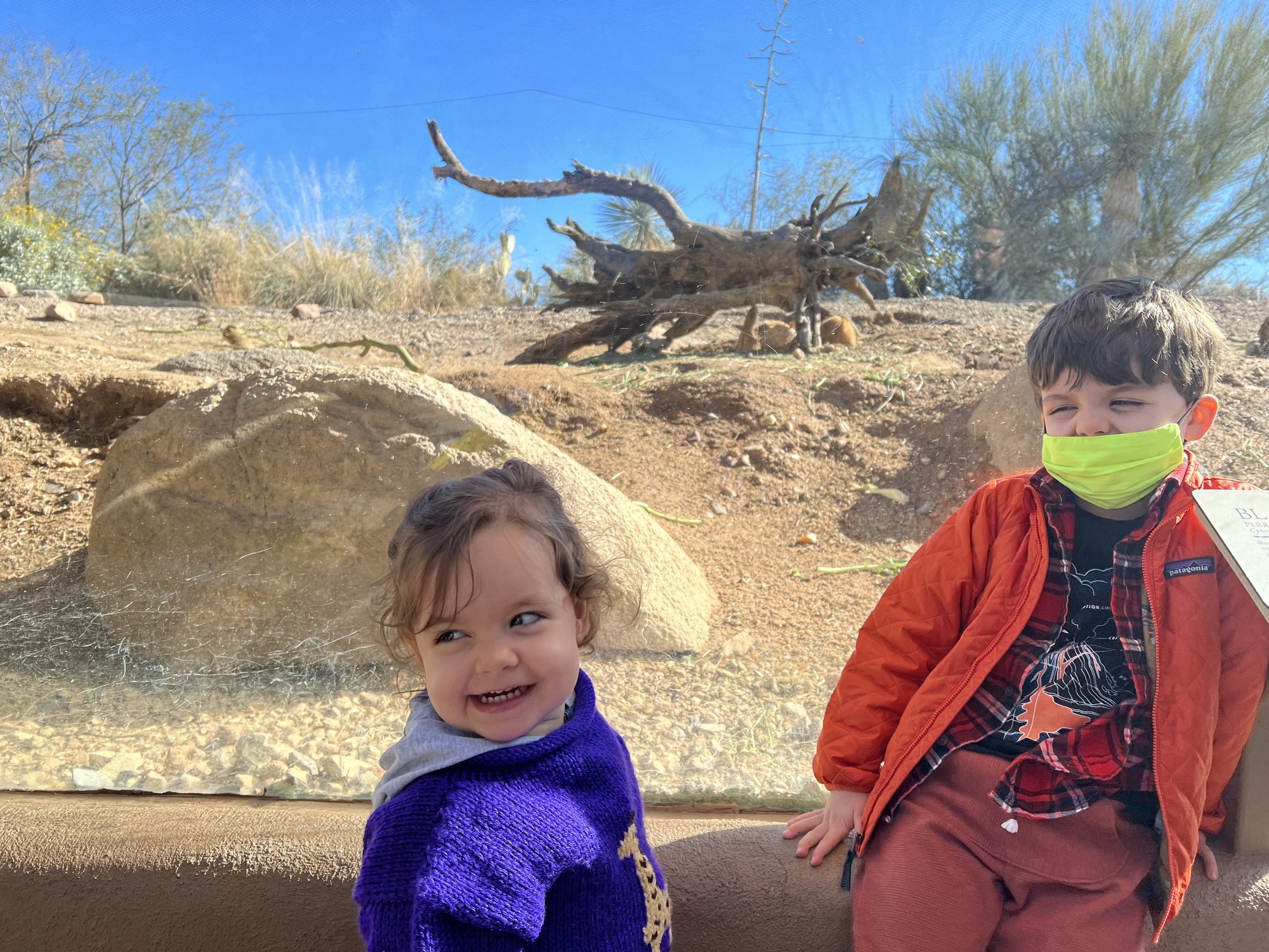 Prairie dog exhibit at the Sonoran Desert Museum.