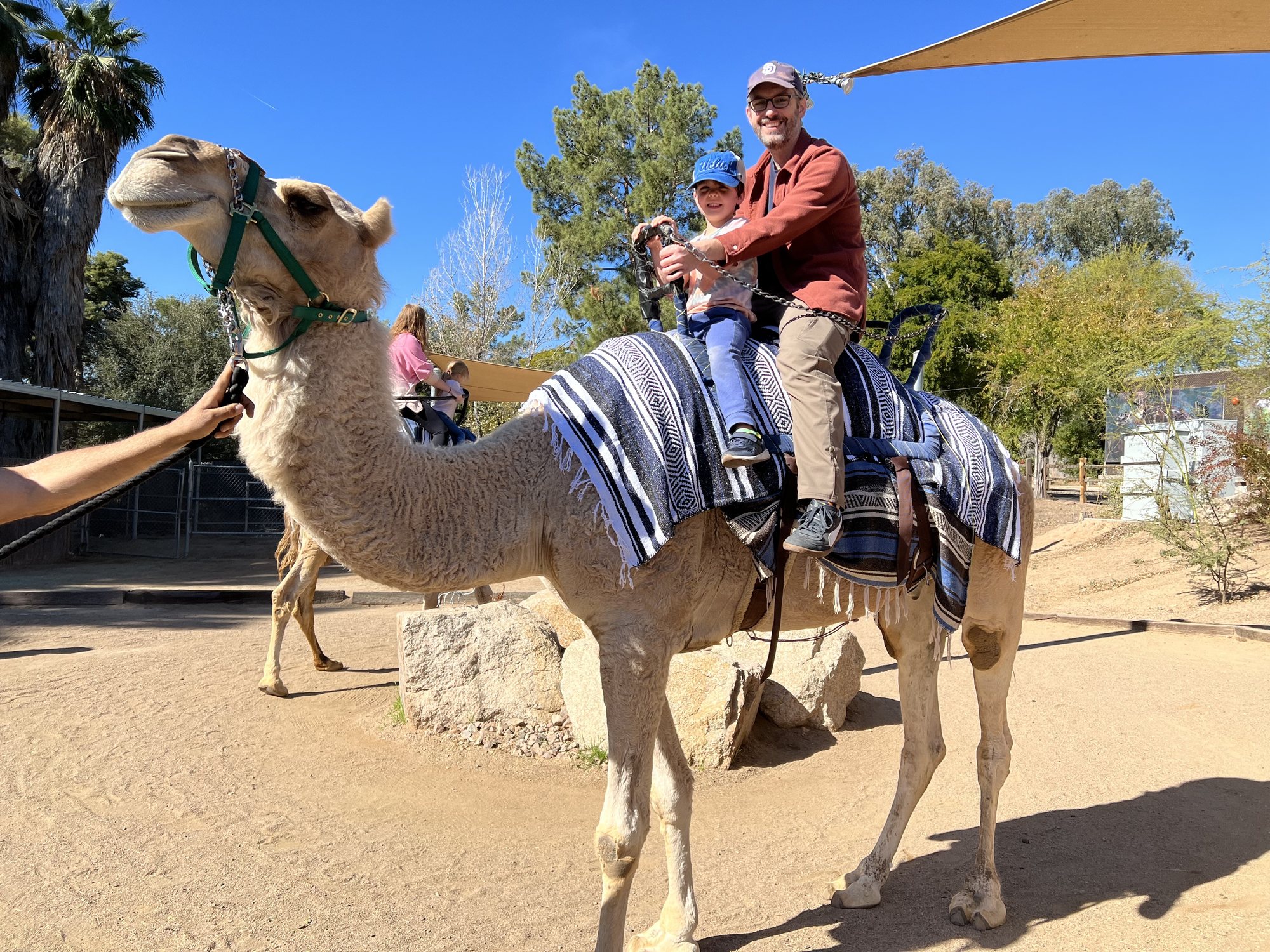 Another camel ride at the Phoenix Zoo. I think this is Crocket, maybe?
