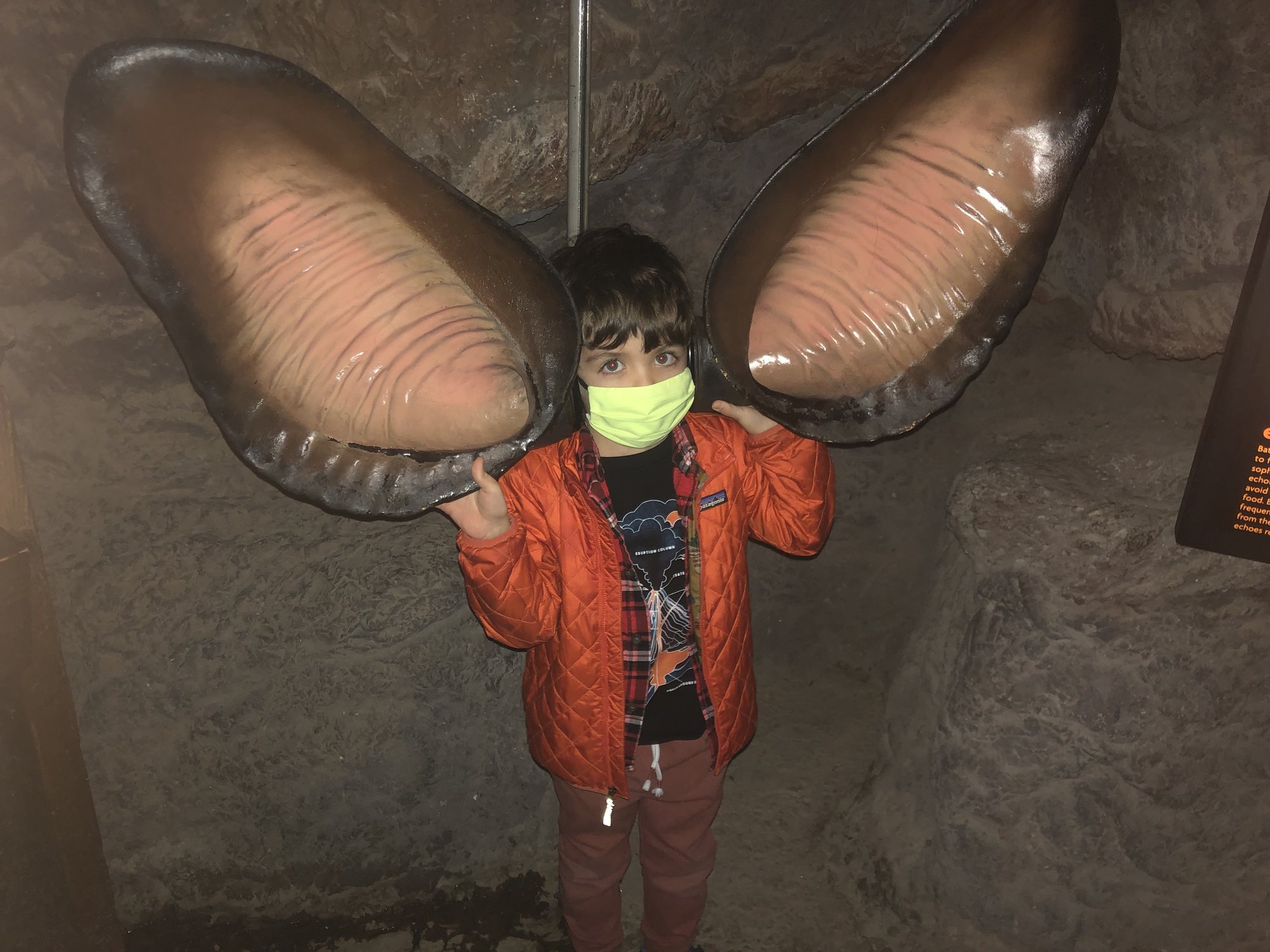Bat ears.