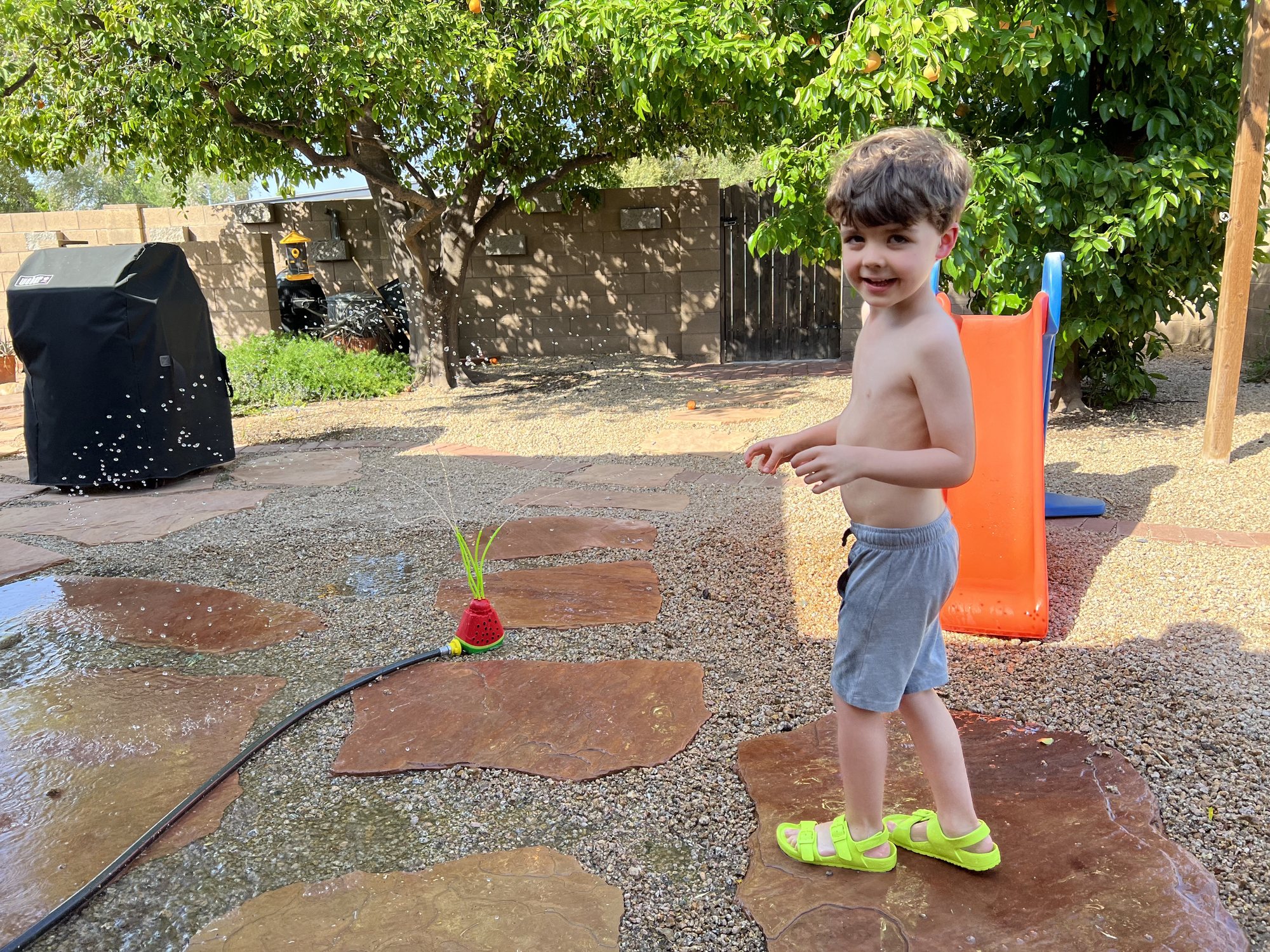 Trying out a sprinkler in the back yard :)