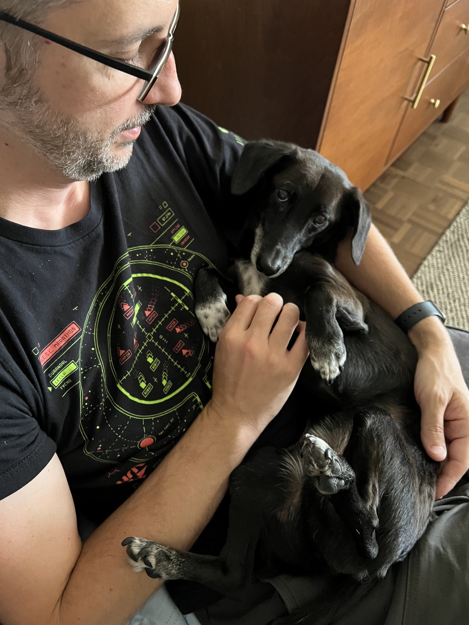 Vincent getting some scratches.