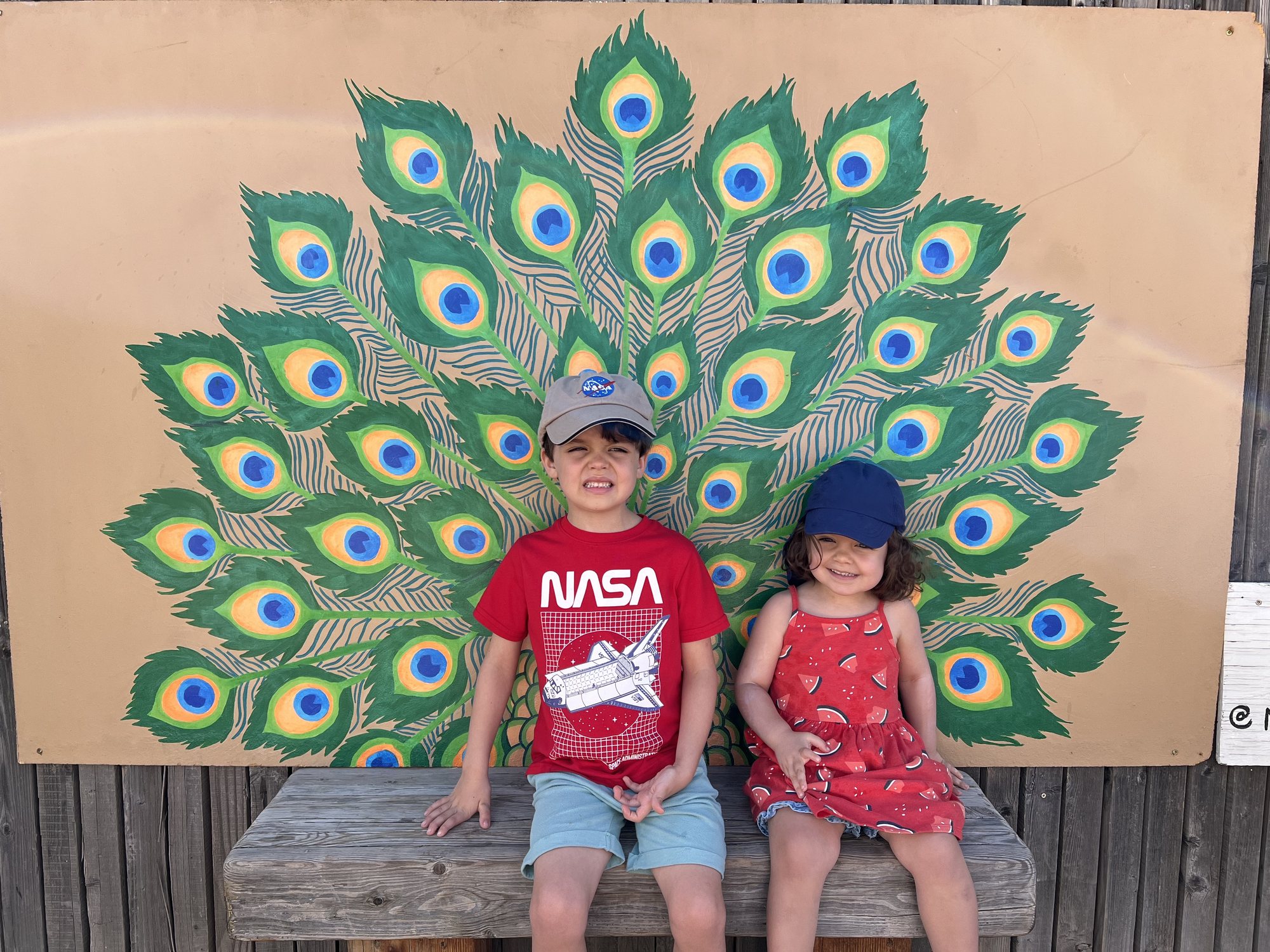 Peacock mural at MacDonald Ranch.