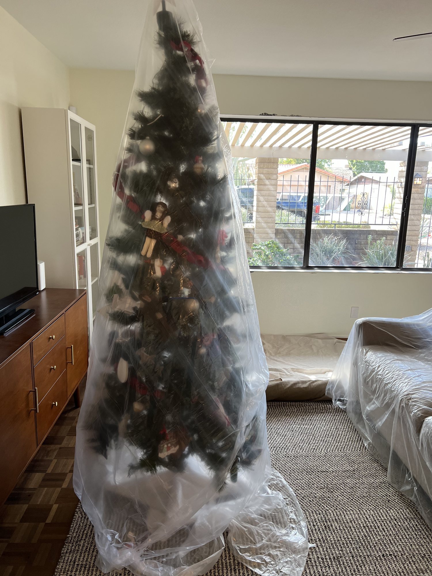 Our poor Christmas tree all wrapped up for the window install.