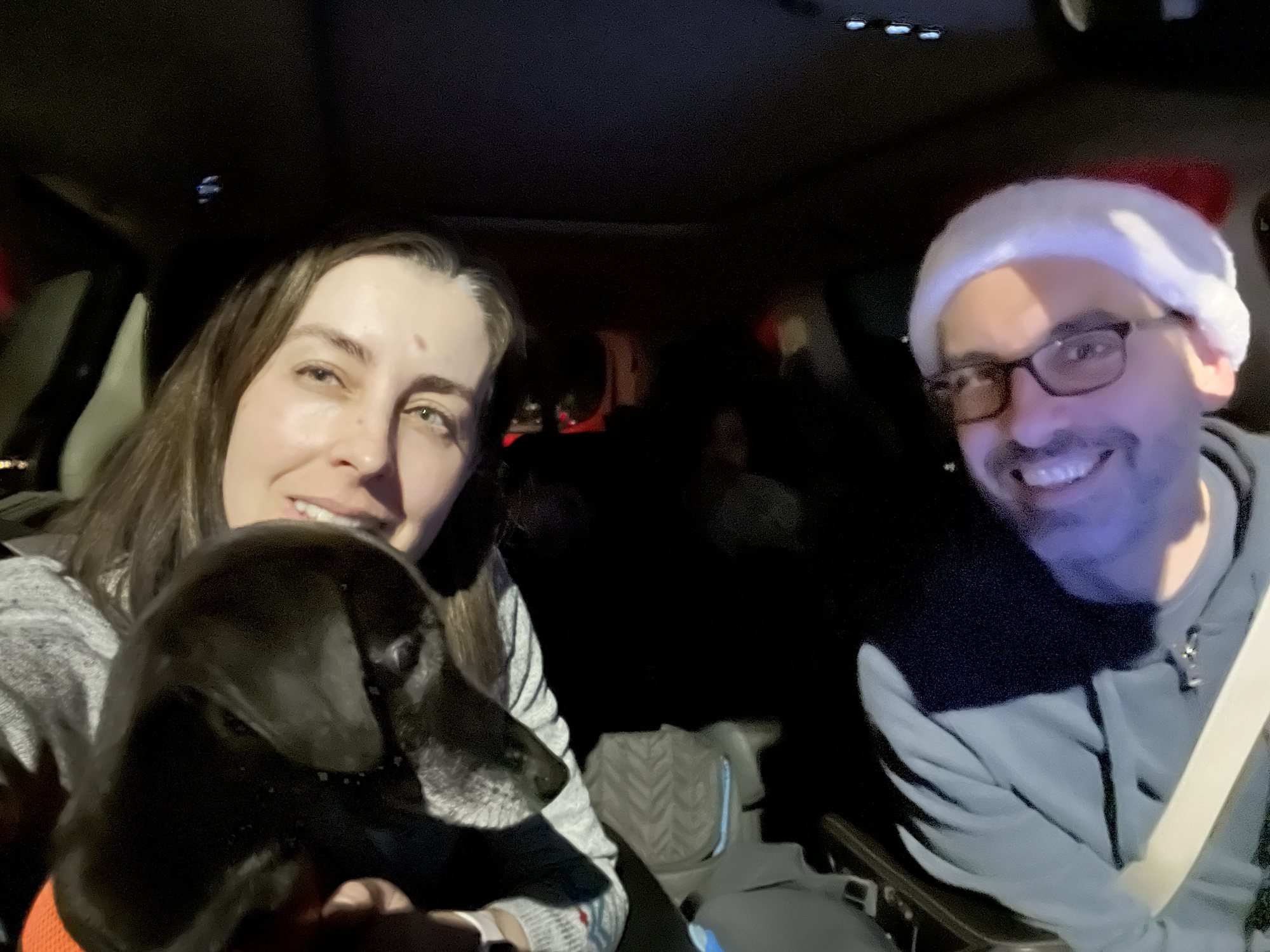 Vincent enjoying Christmas lights!