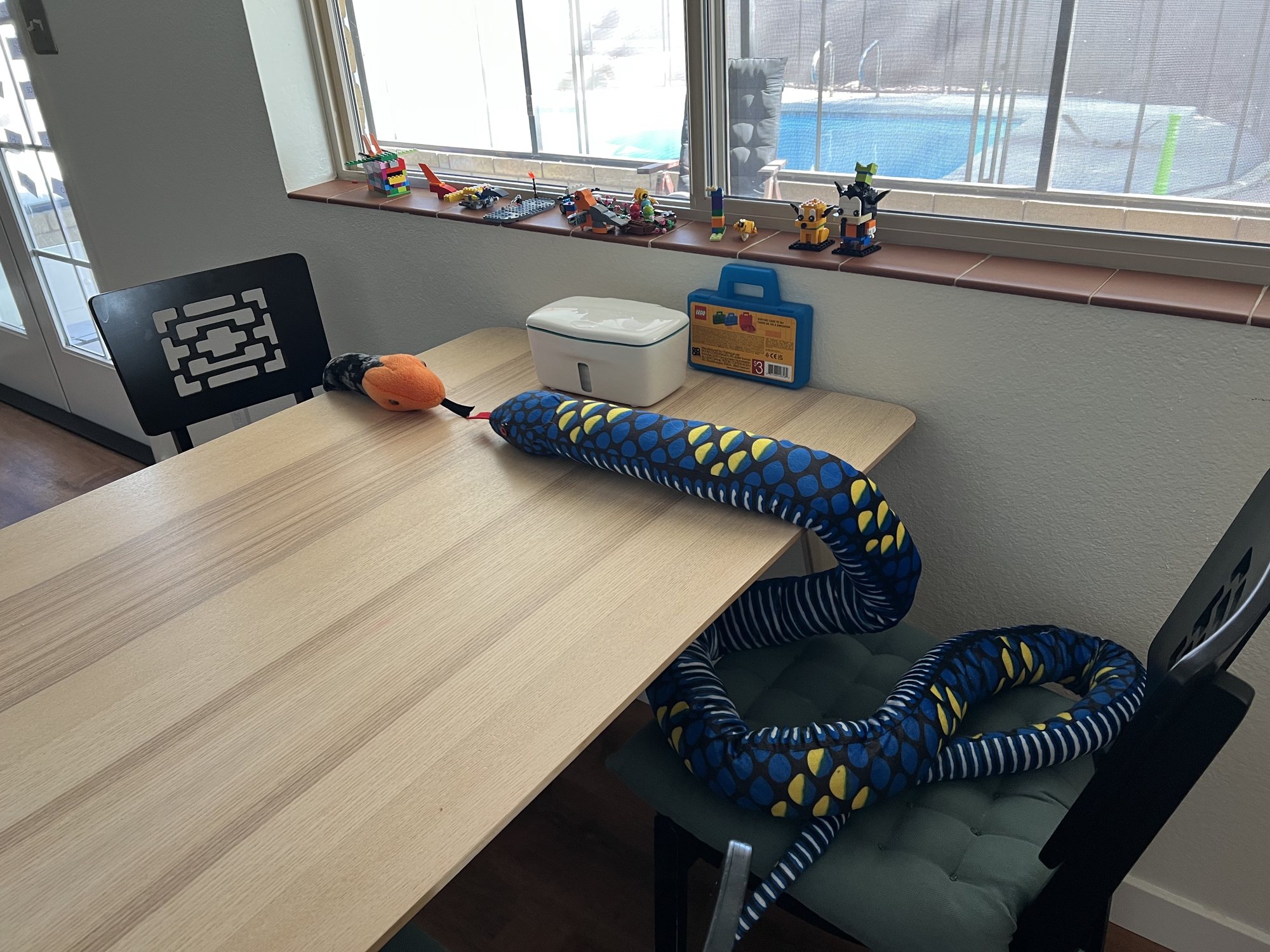 How I found Ben and Nora's snakes after they left for school one day.