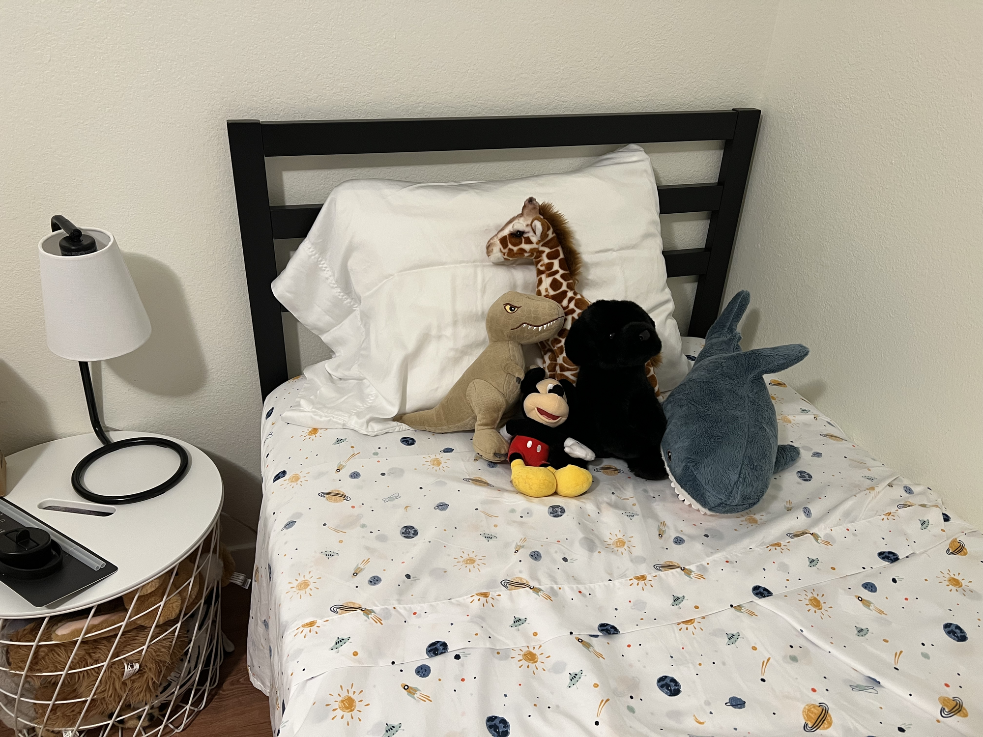 Nora and Ben decided that Alexander needed some stuffies for his visit :)
