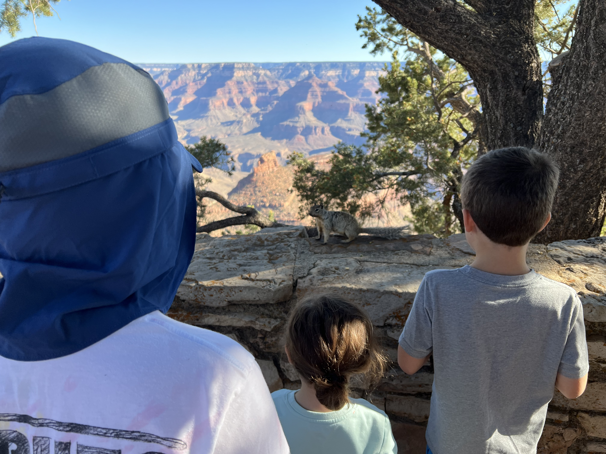 The kids made friends with a squirrel :)