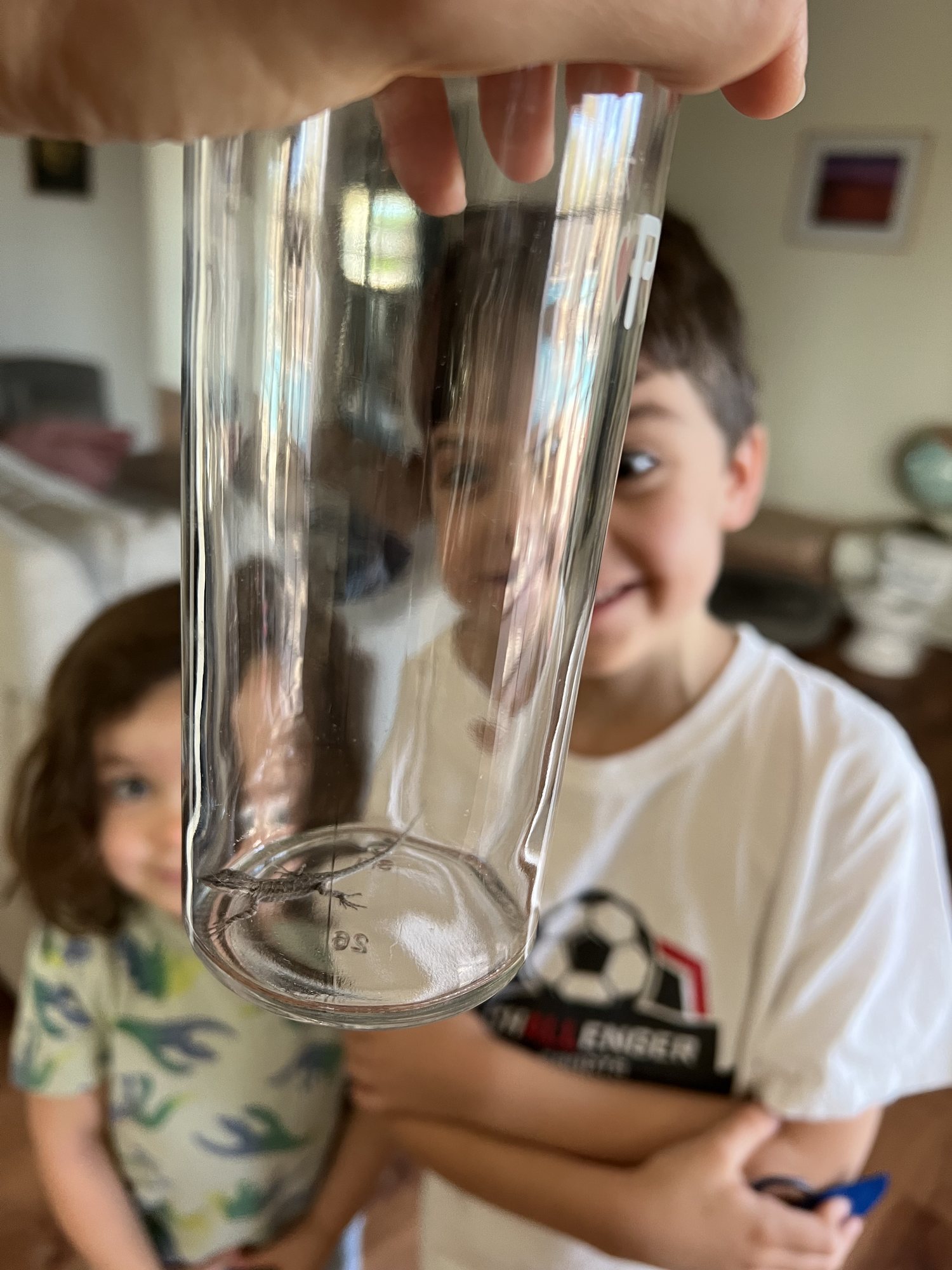 We caught the TEENIEST lizard in our screened in back patio. He was released to the orange tree with his friends.