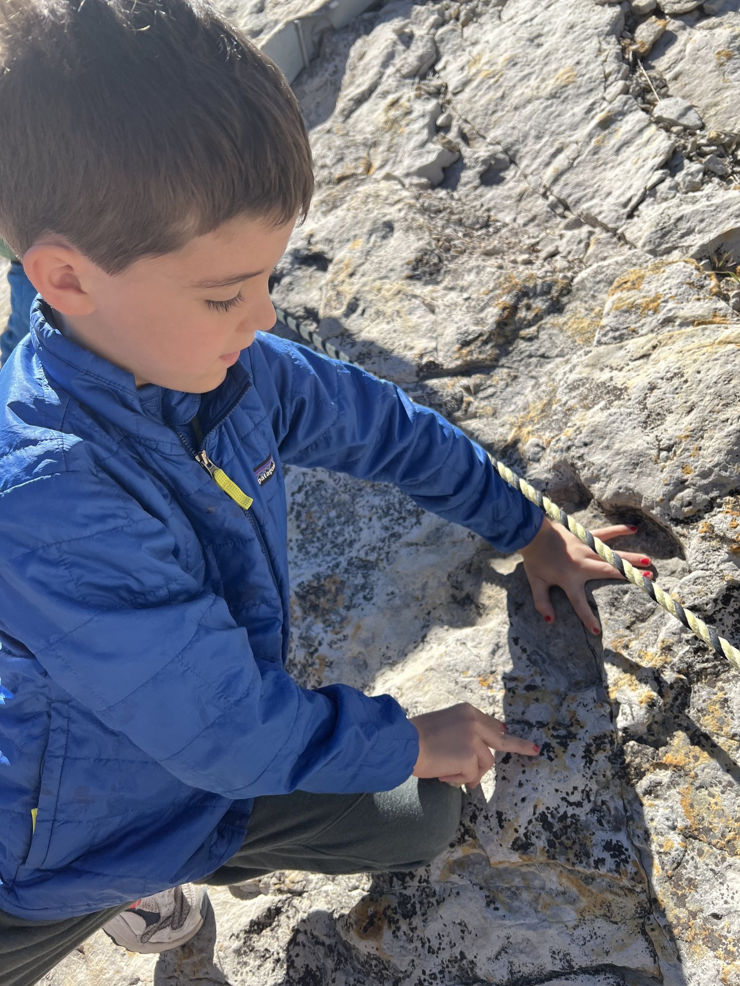 Ben's hand in a baby iguanadon's footprint.