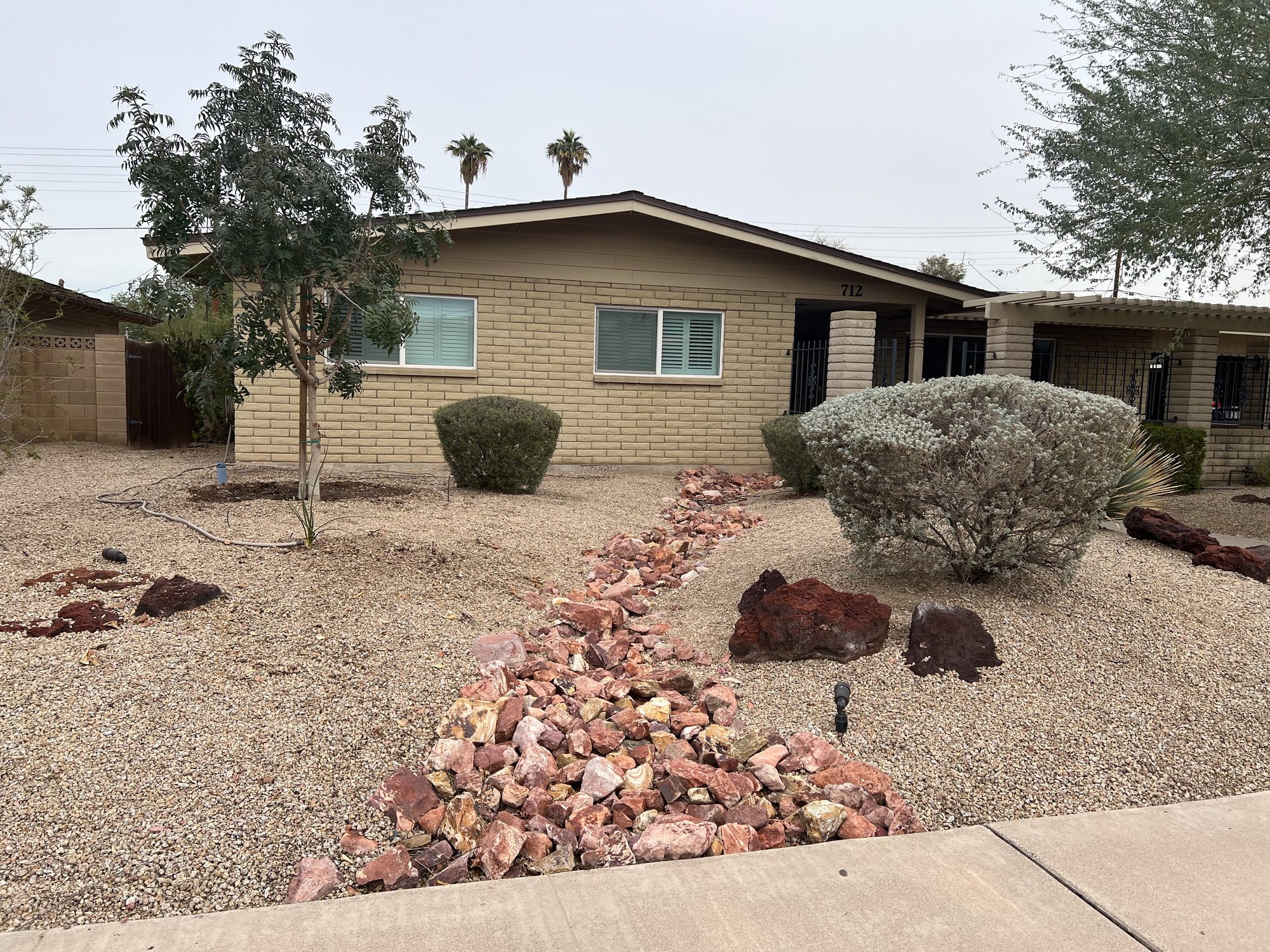 Our new tree! It'll turn red in the winter (it's like having a little piece of the east coast here in the desert)