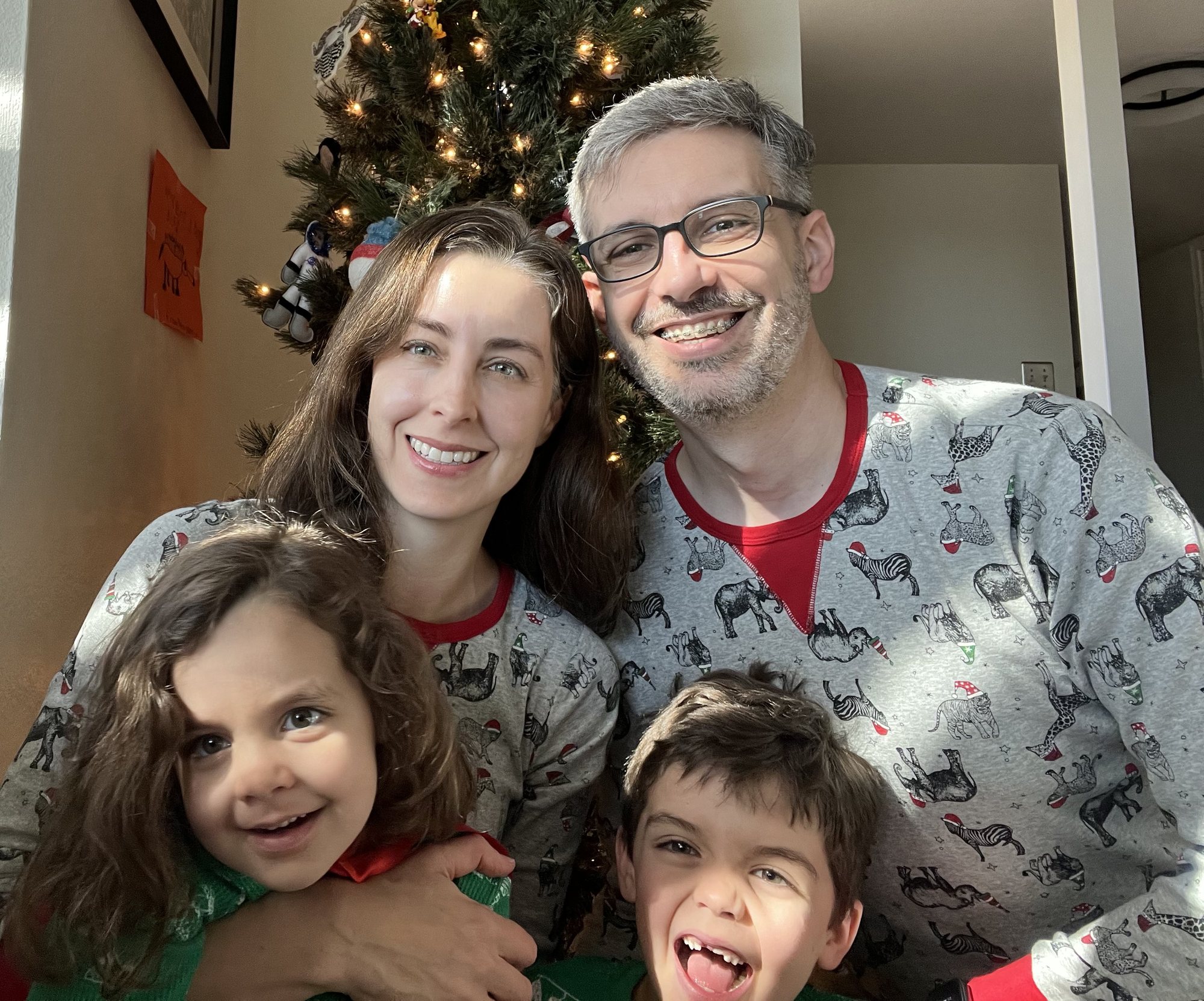 Annual Christmas picture. We NEED a bigger tree.