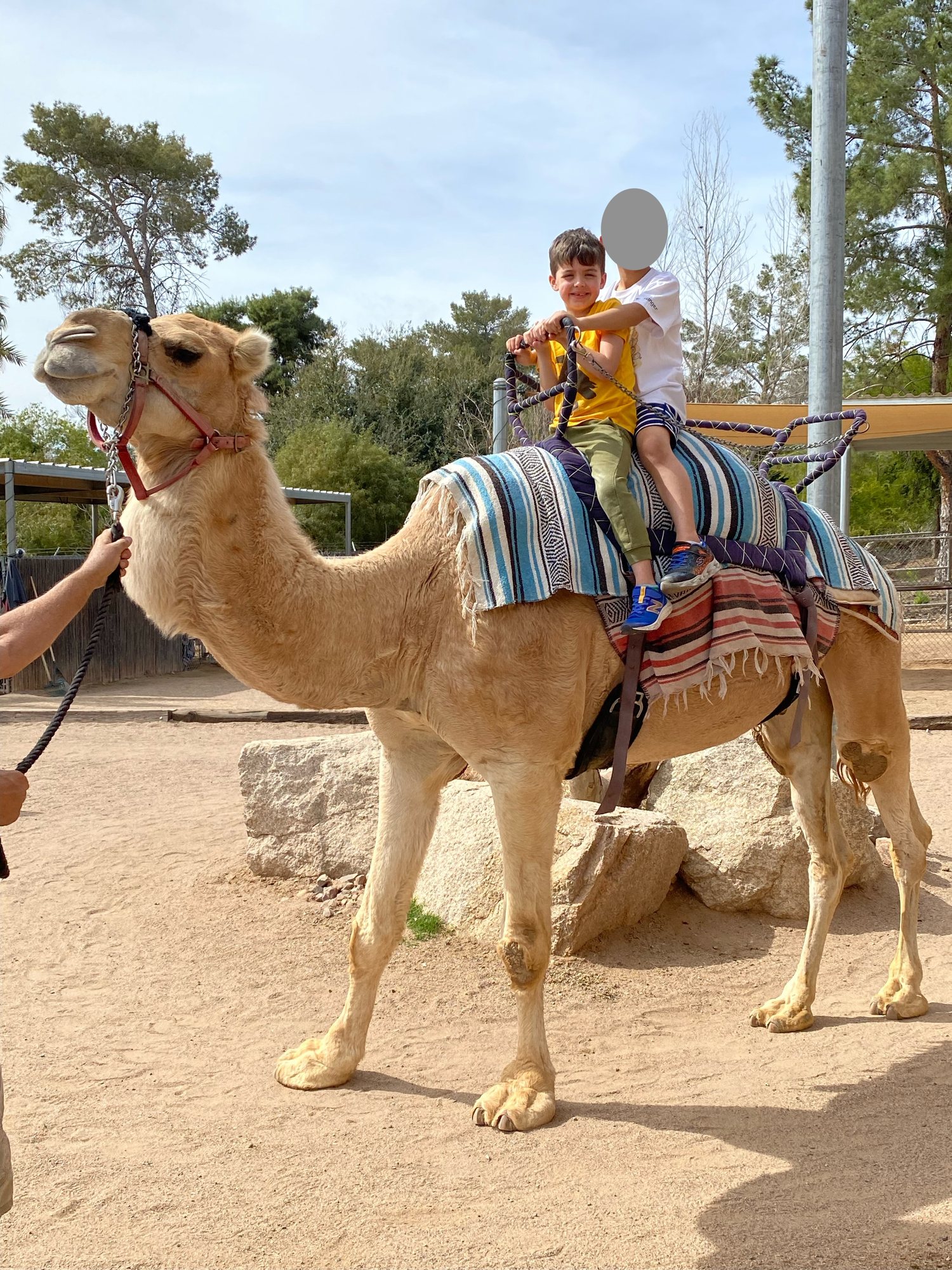 Camel ride with Ben's bestie, Max!