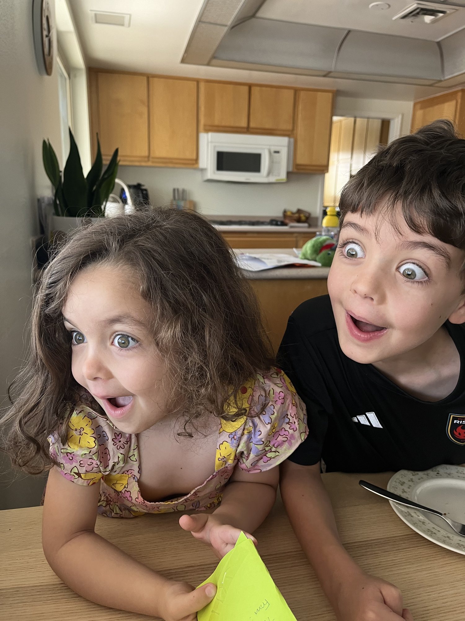 Kids pretending they see something shocking outside. lol