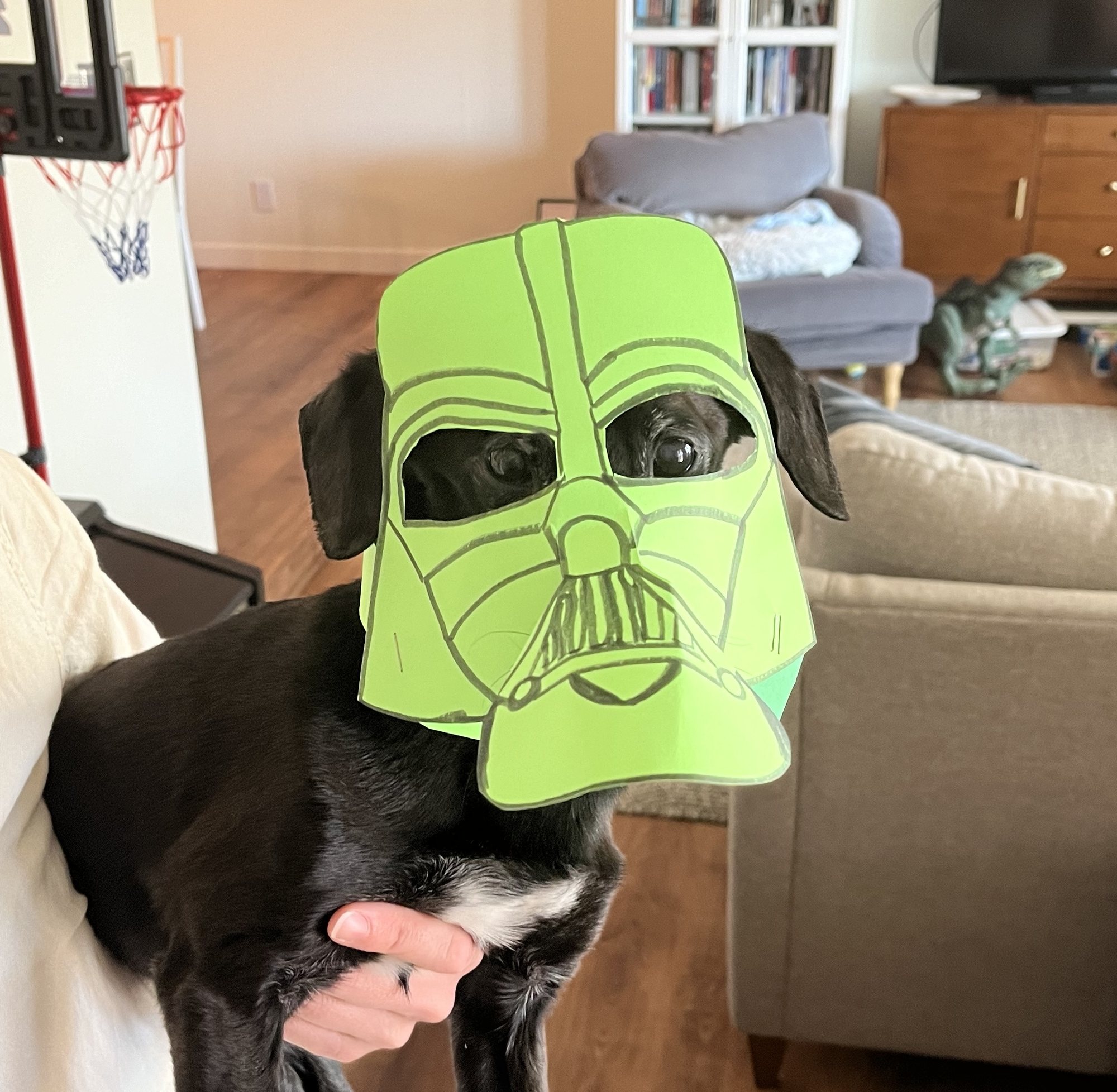 Darth Vincent.
