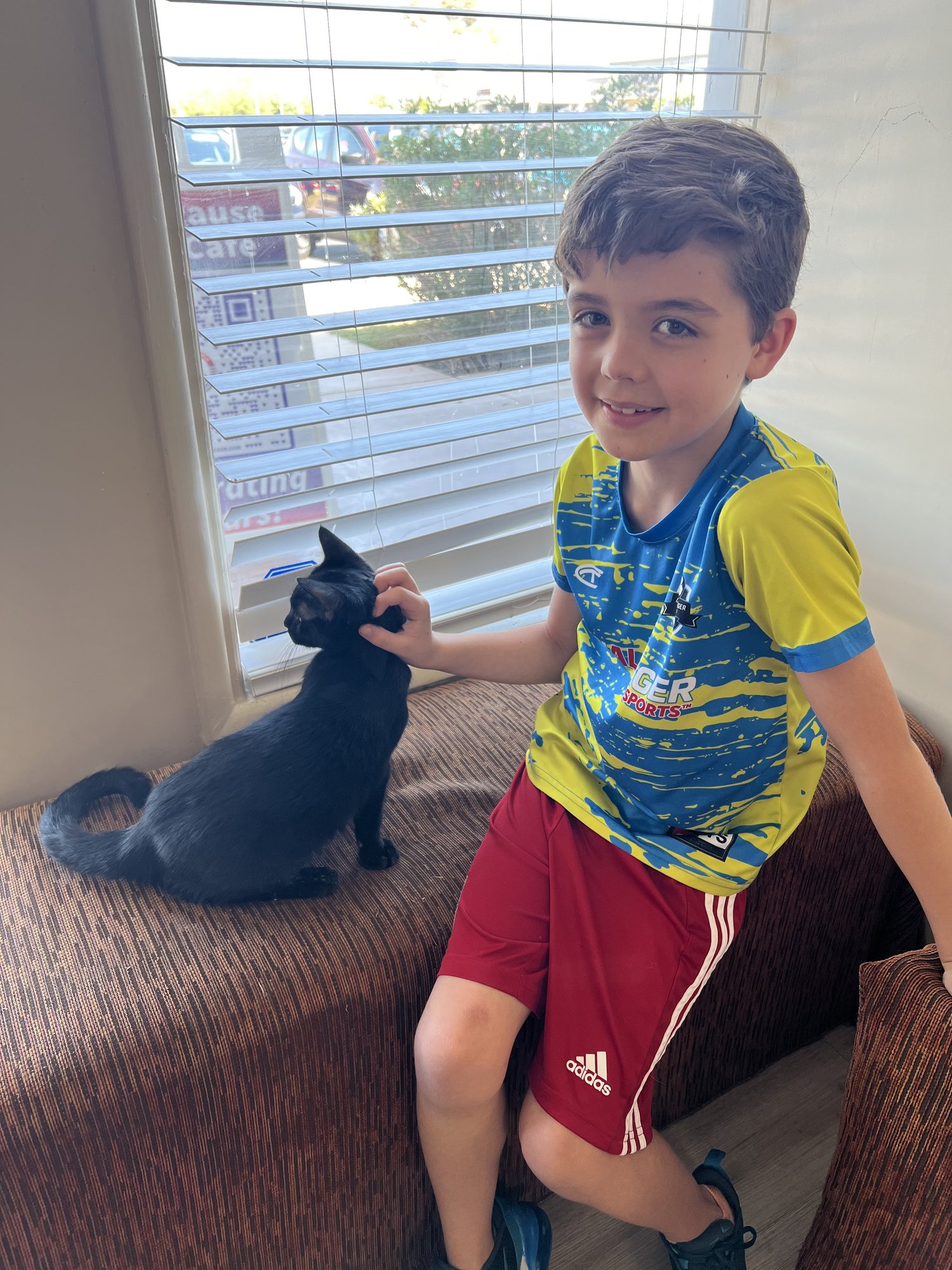 Post-Disneyland trip to the cat cafe. Ben loves them <3.