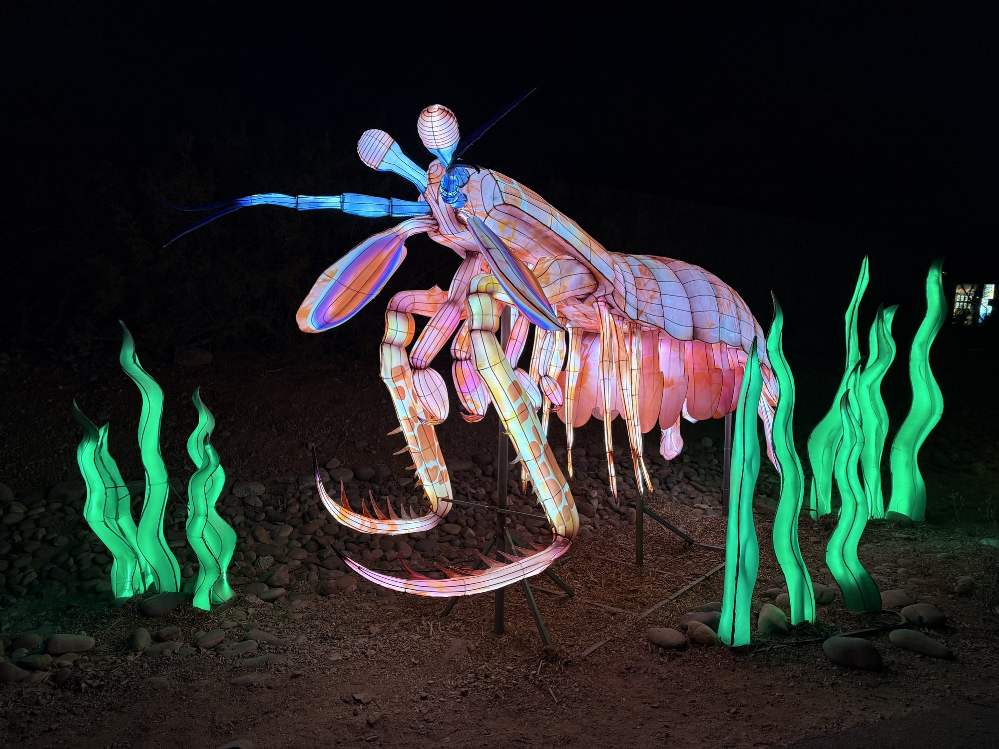 The mantis shrimp was the best :)